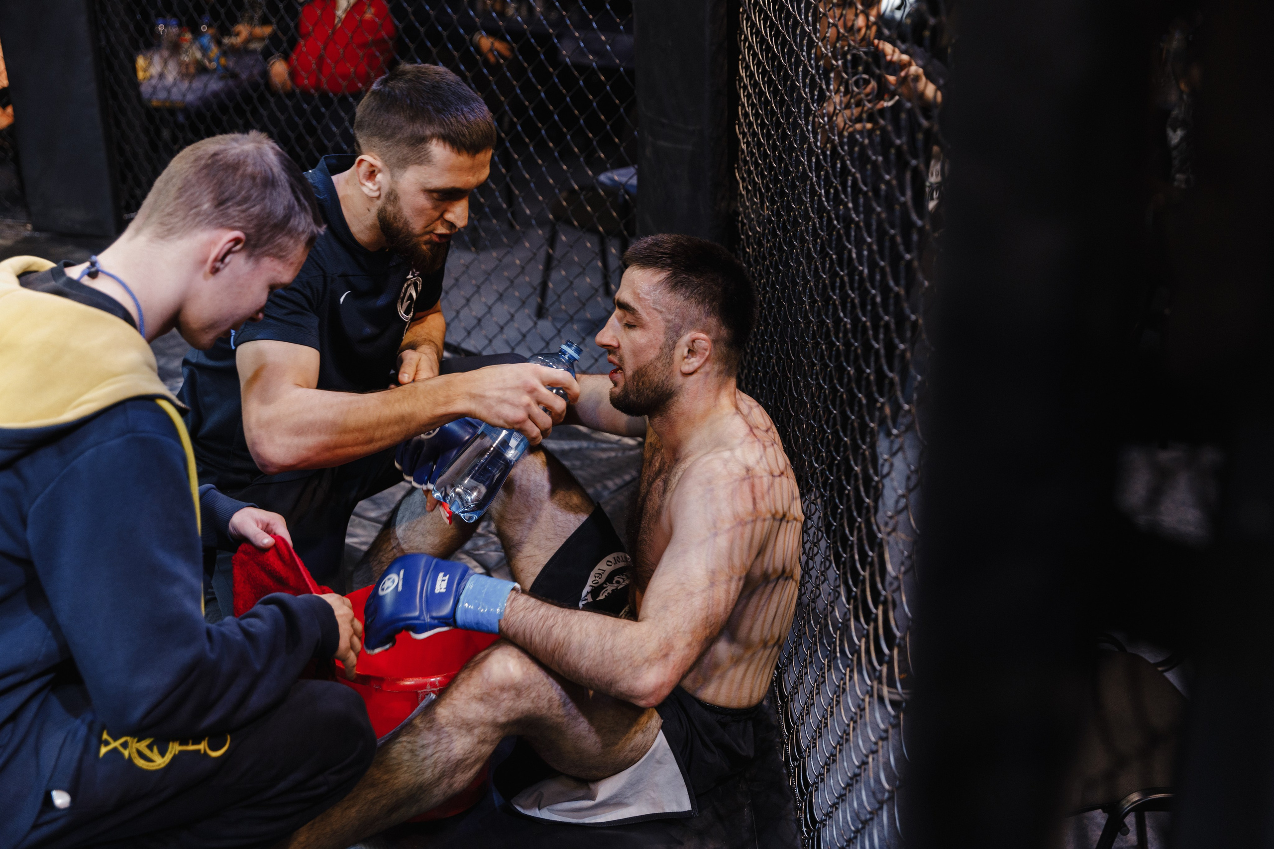 Турнир по ММА «Освобождение» 2023 г. Истра. Свадебный фотограф Фадеева Алёна