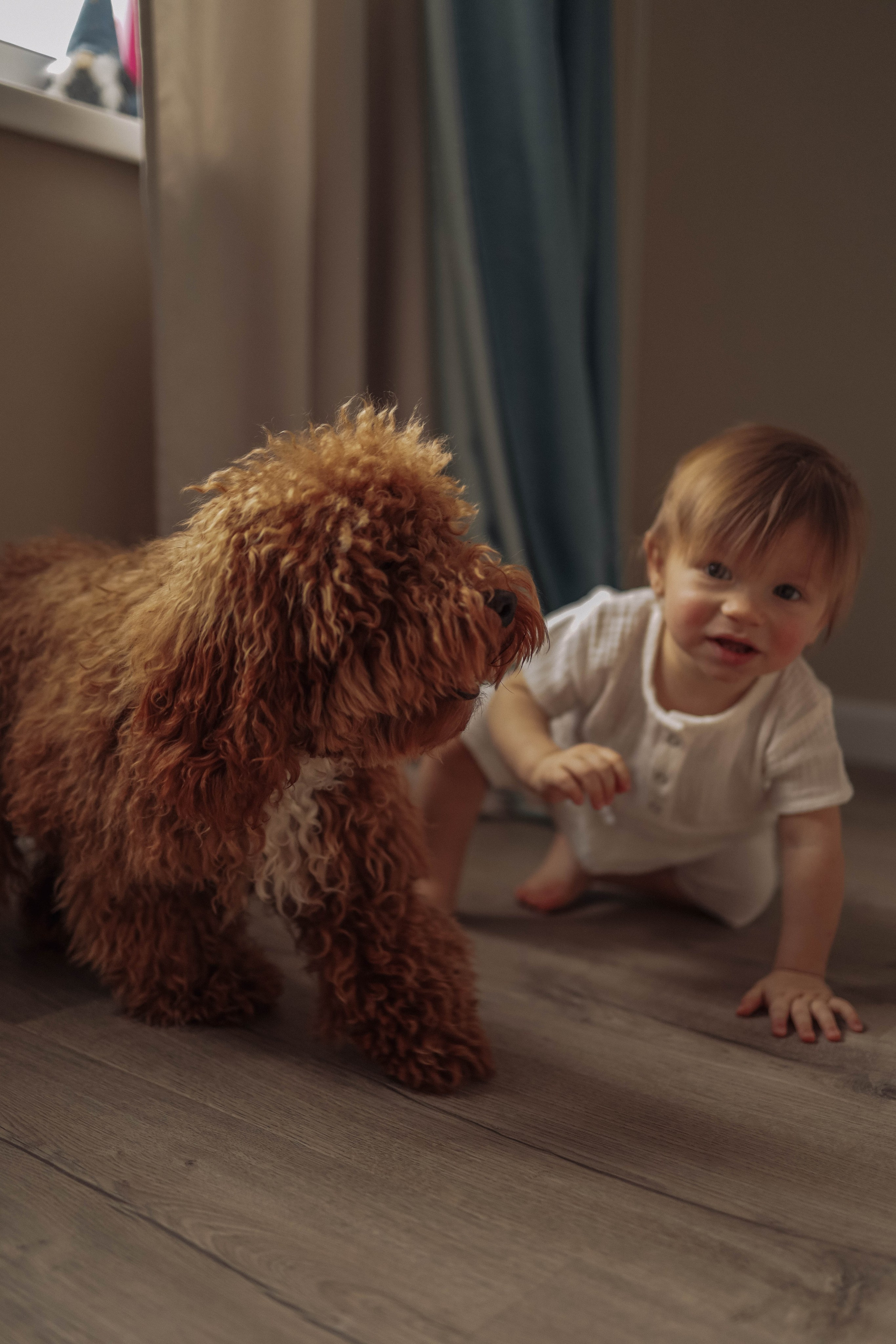 О семейном счатье. Марина Мужиченкова. Семейная и детская фотосъёмка в Москве