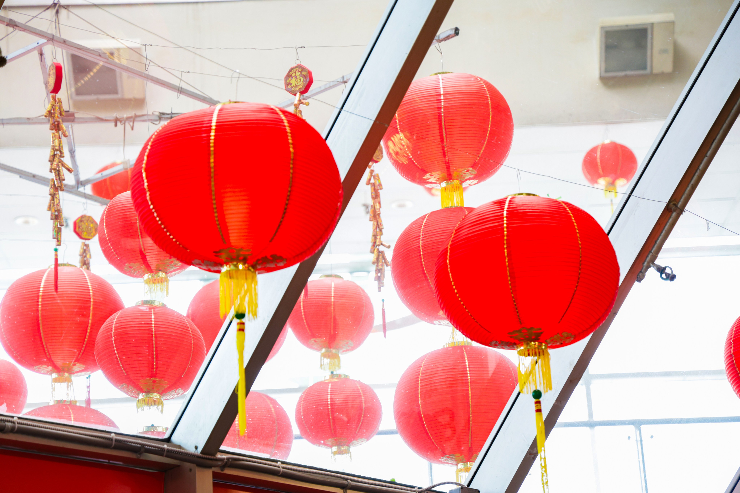 Lunar New Year 2026. Portrait photographer based in Toronto — Blinova Mariia