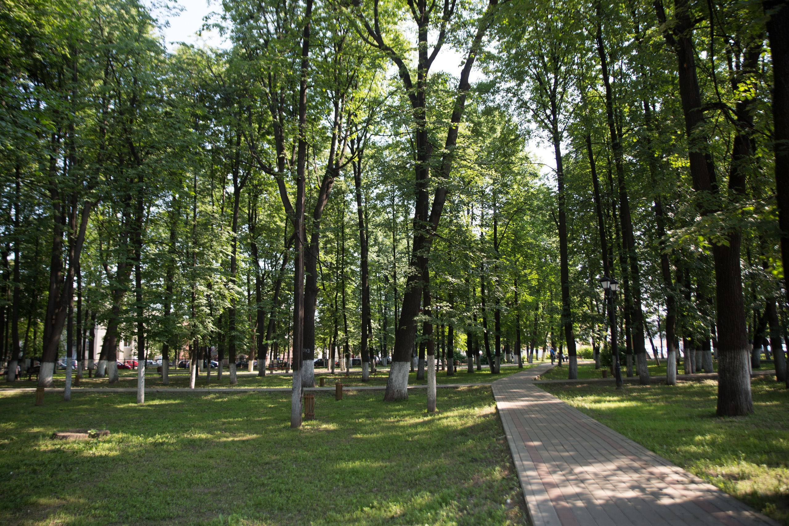 Г. Ярославль. Студия Максима Белослюдцева