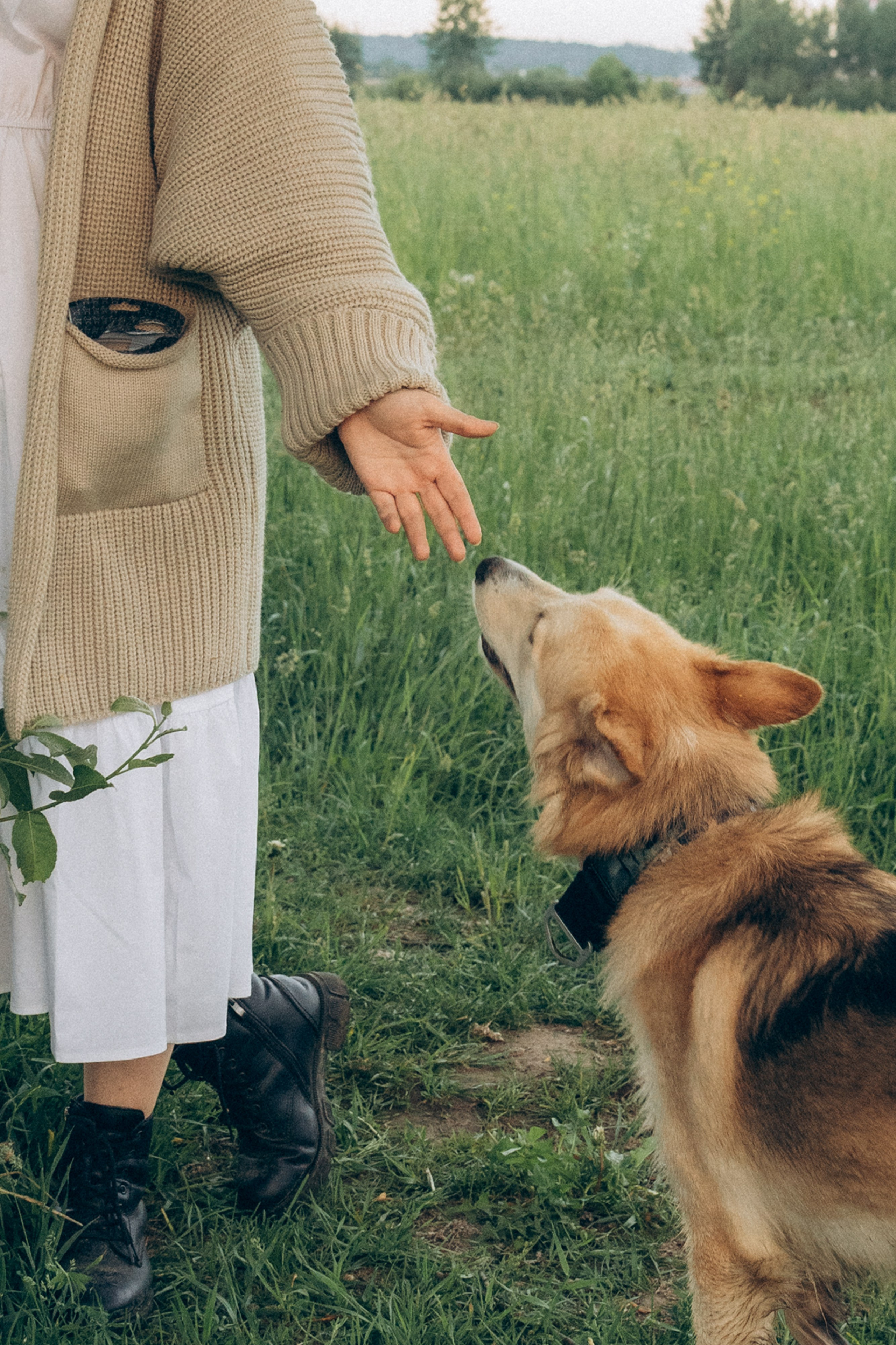 Соня и Кора. Фотограф анималист в Москве и Санкт-Петербурге Свиридова Анна