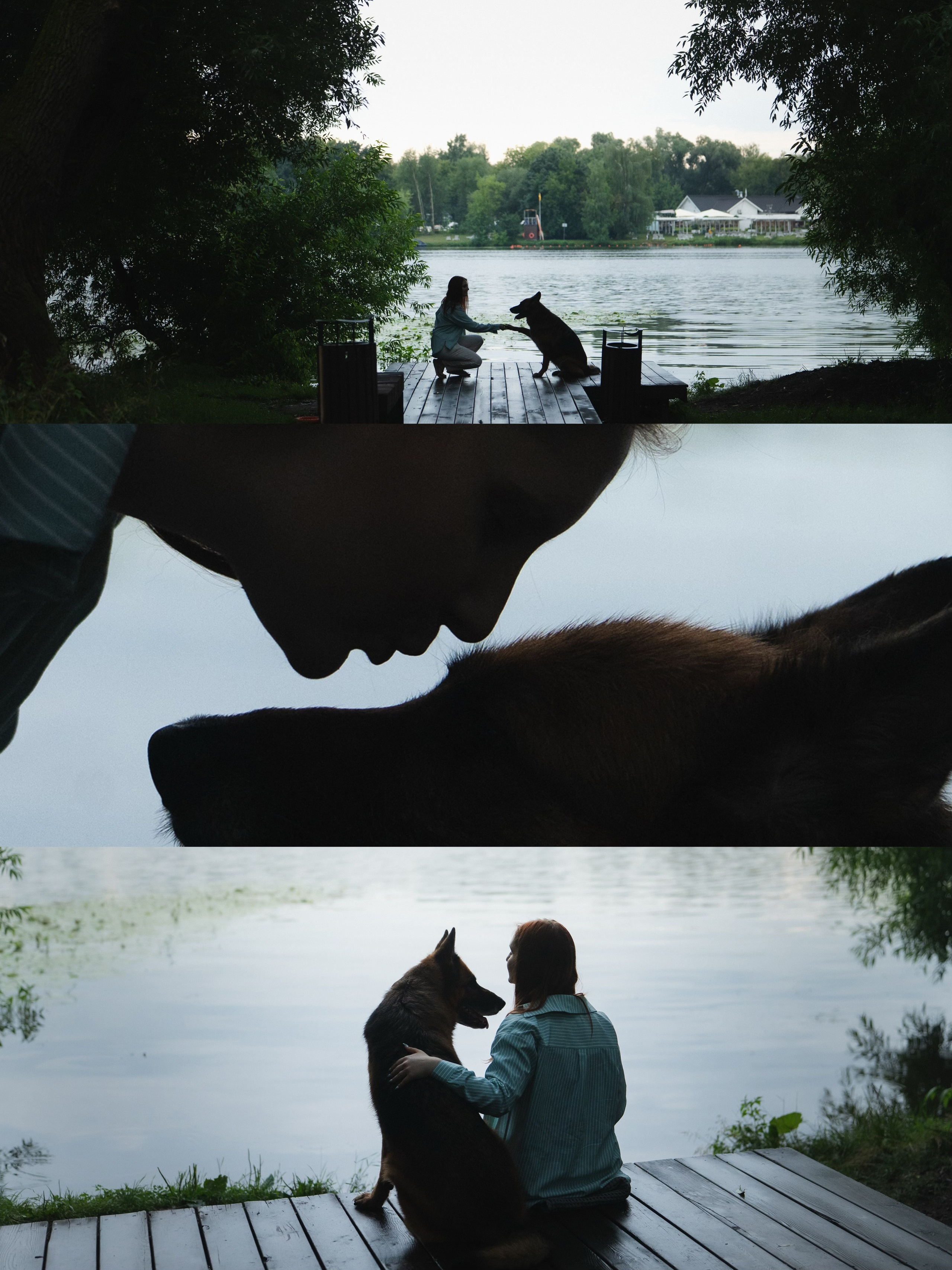 Вика и Фрея. Фотограф анималист в Москве и Санкт-Петербурге Свиридова Анна