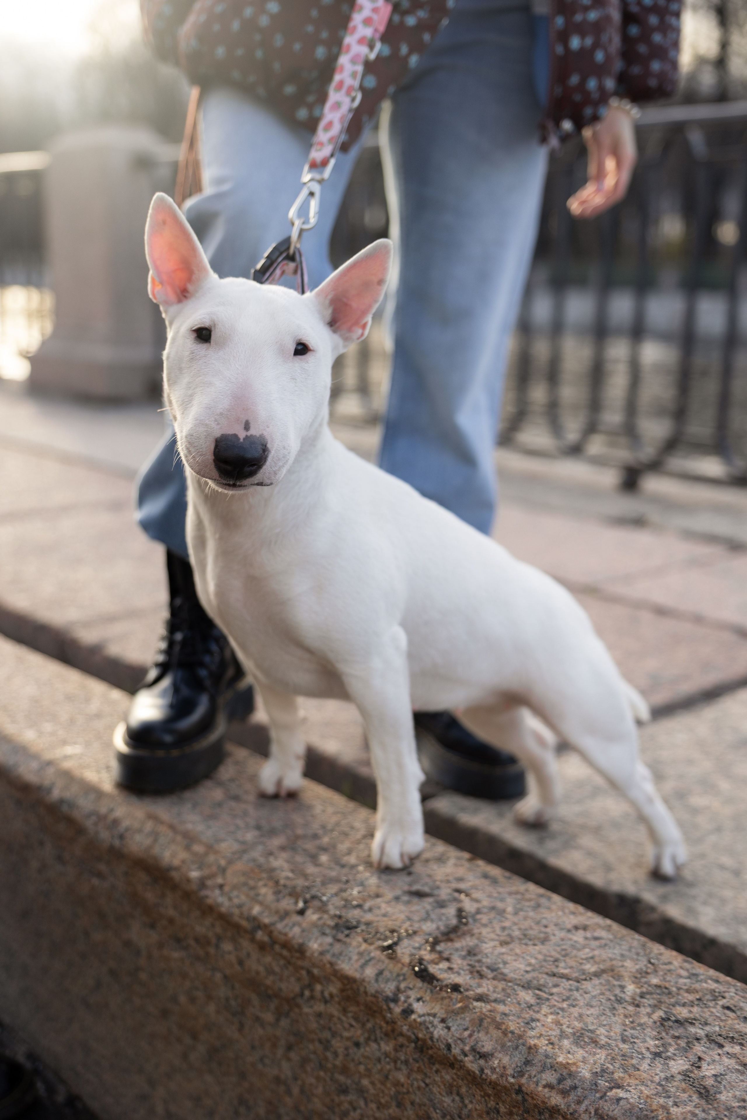 История Авроры и Леона. Фотограф Артем Бросов в Санкт-Петербурге и Дубае