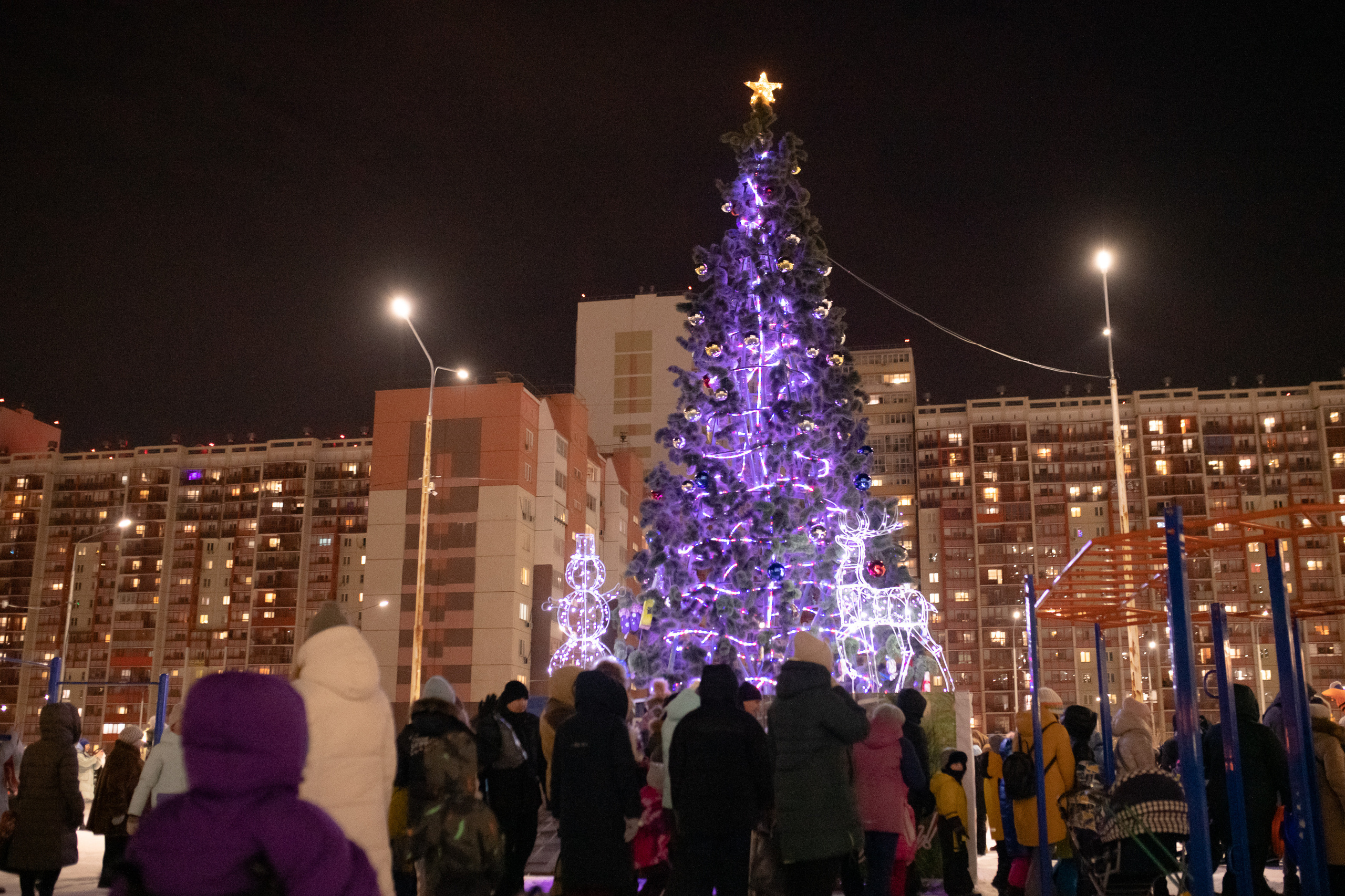 Новогодняя ёлка 2022. Свадебный фотограф Екатеринбург/Челябинск — Любовь Волохова