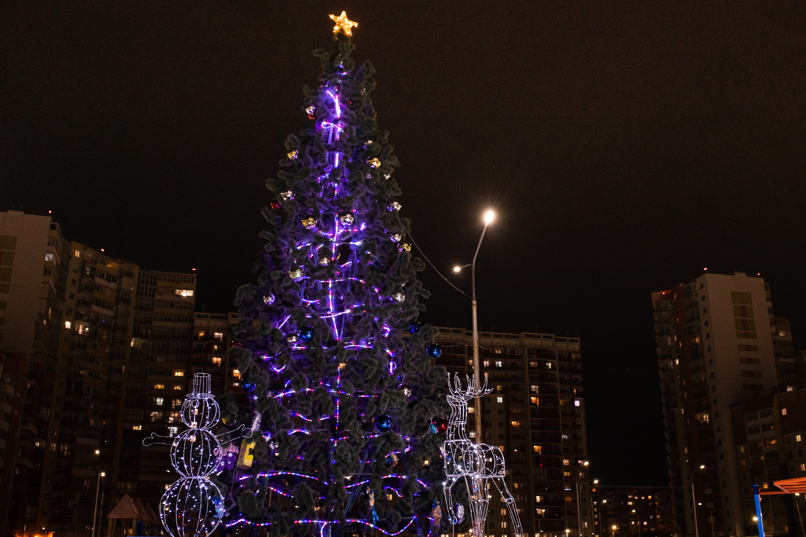 Новогодняя ёлка 2022. Свадебный фотограф Екатеринбург/Челябинск — Любовь Волохова