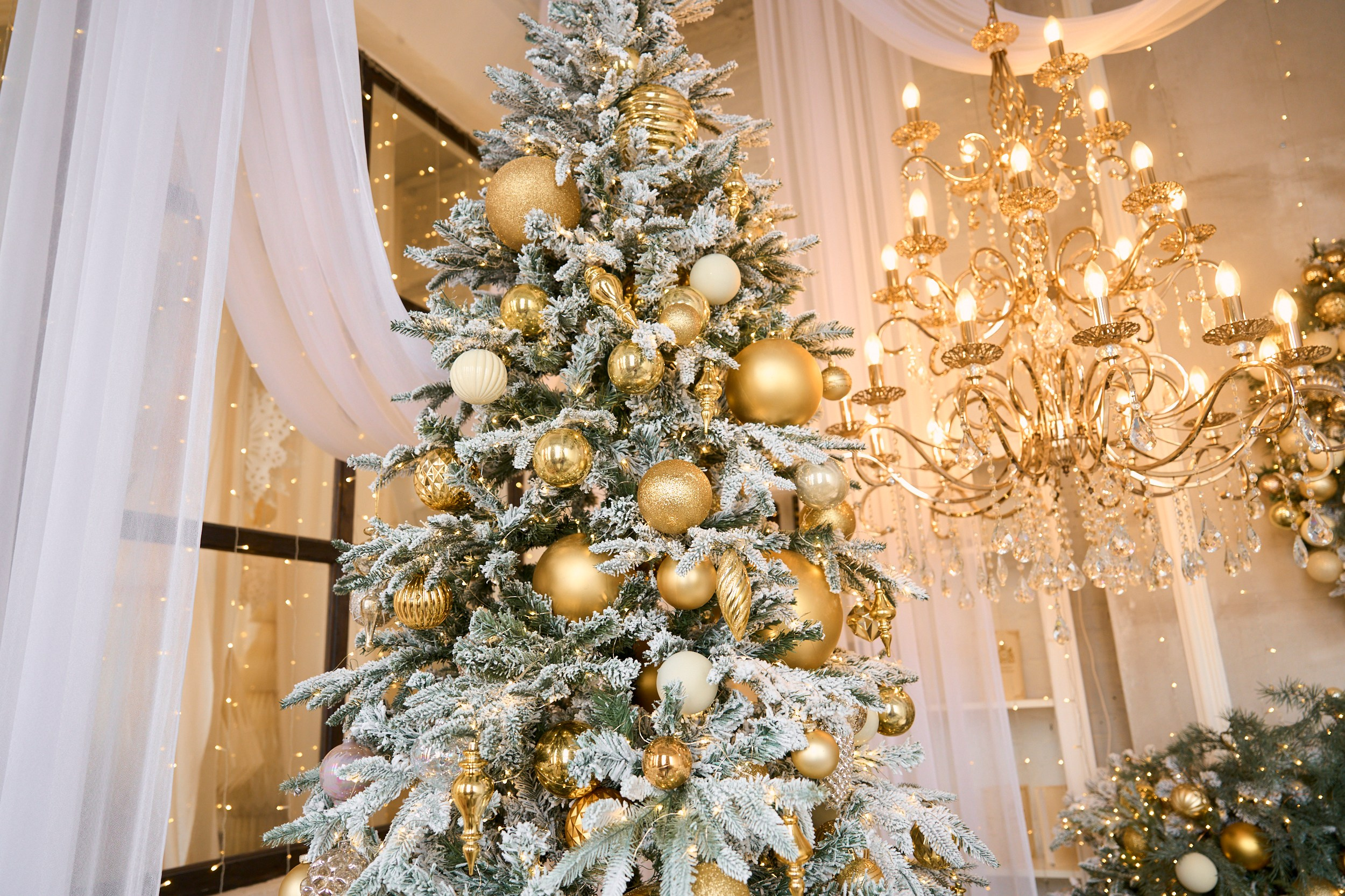 Флэт (Flat). Фотограф г. Хабаровск. Семейные и индивидуальные съёмки