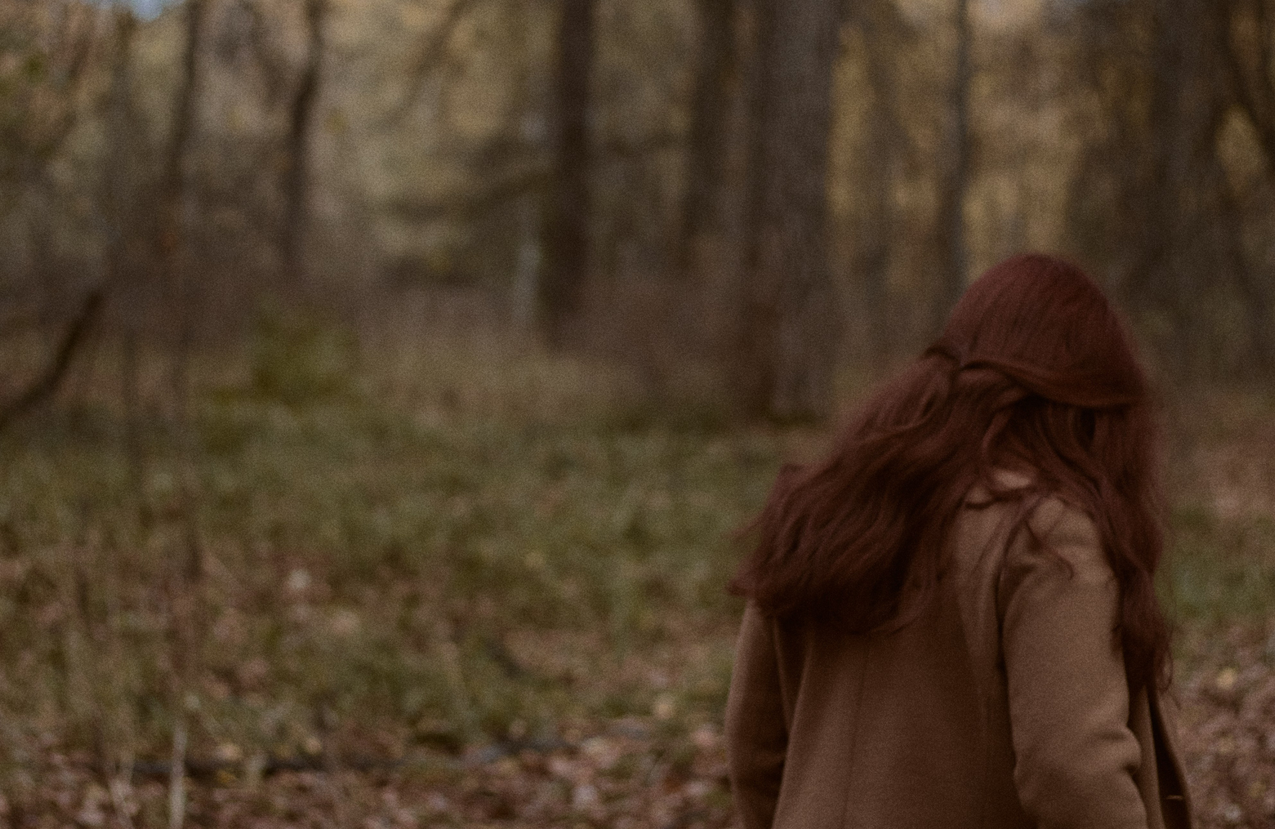 Агата и Даниил. Фотограф лавстори Москва/МО Приятелева Ангелина