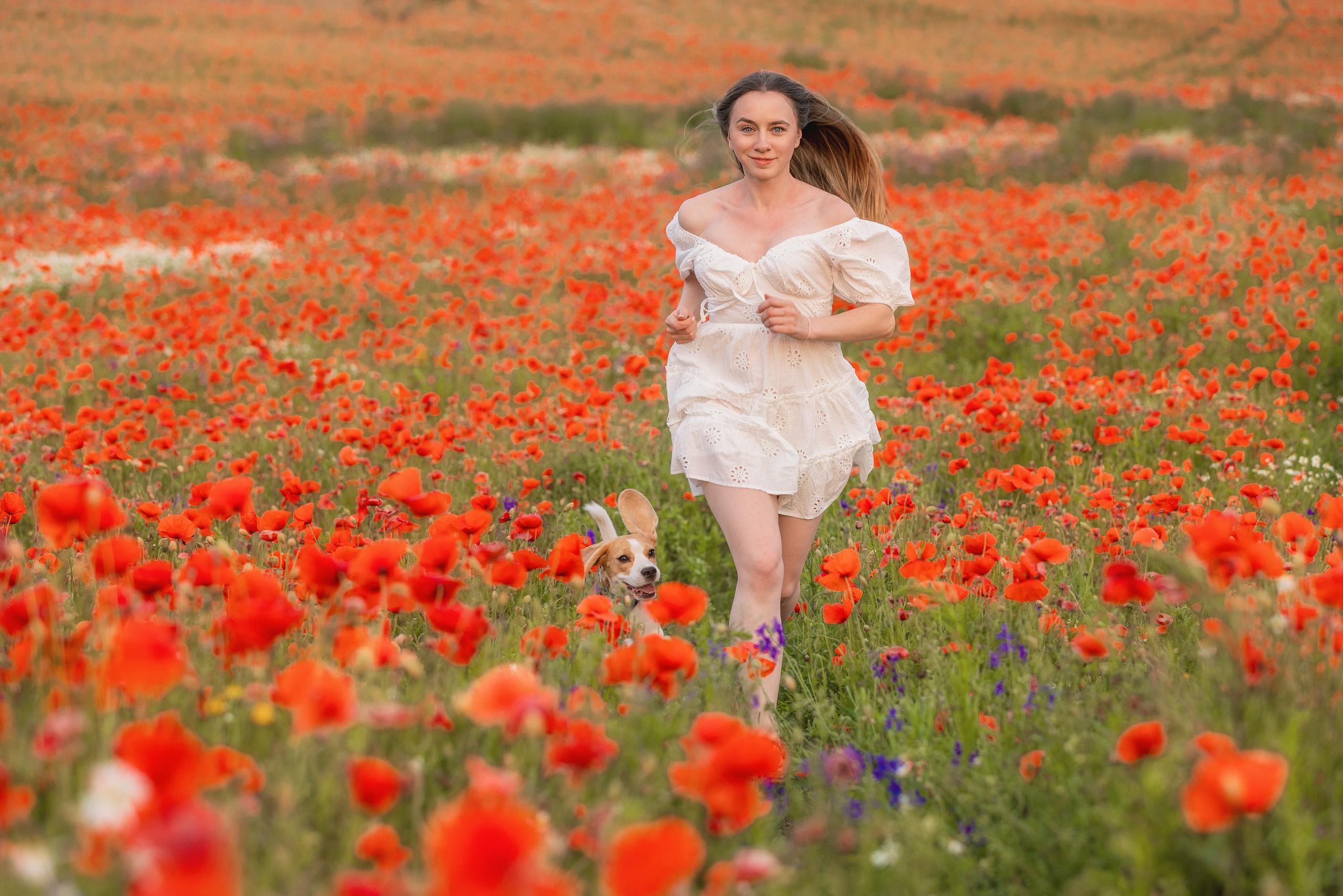 Маки 2024. Фотограф Алена Звездина