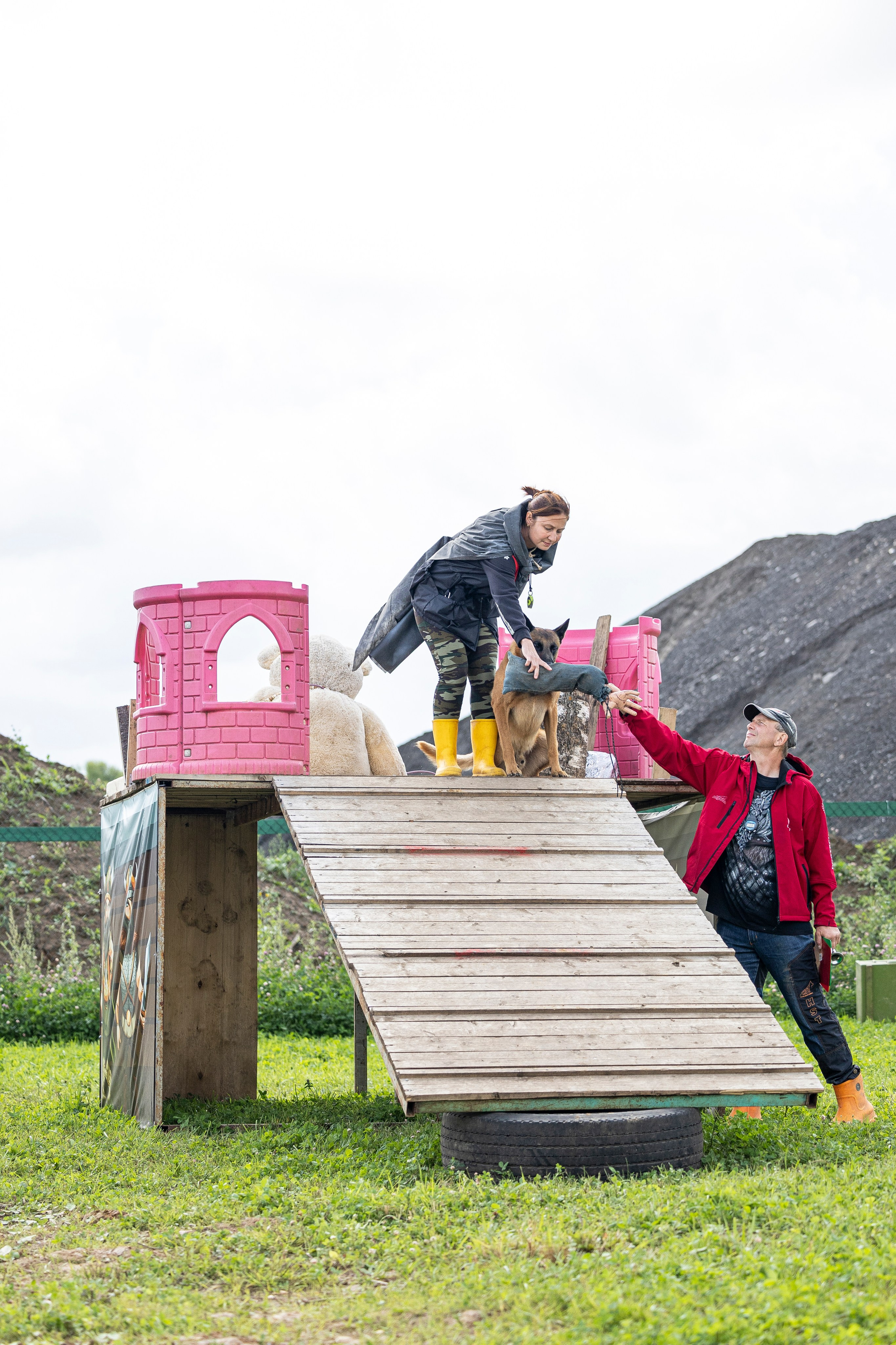 Соревнования по Мондьорингу г. Вологда 10-11.08.2024. Фотограф-анималист Анна Маринич