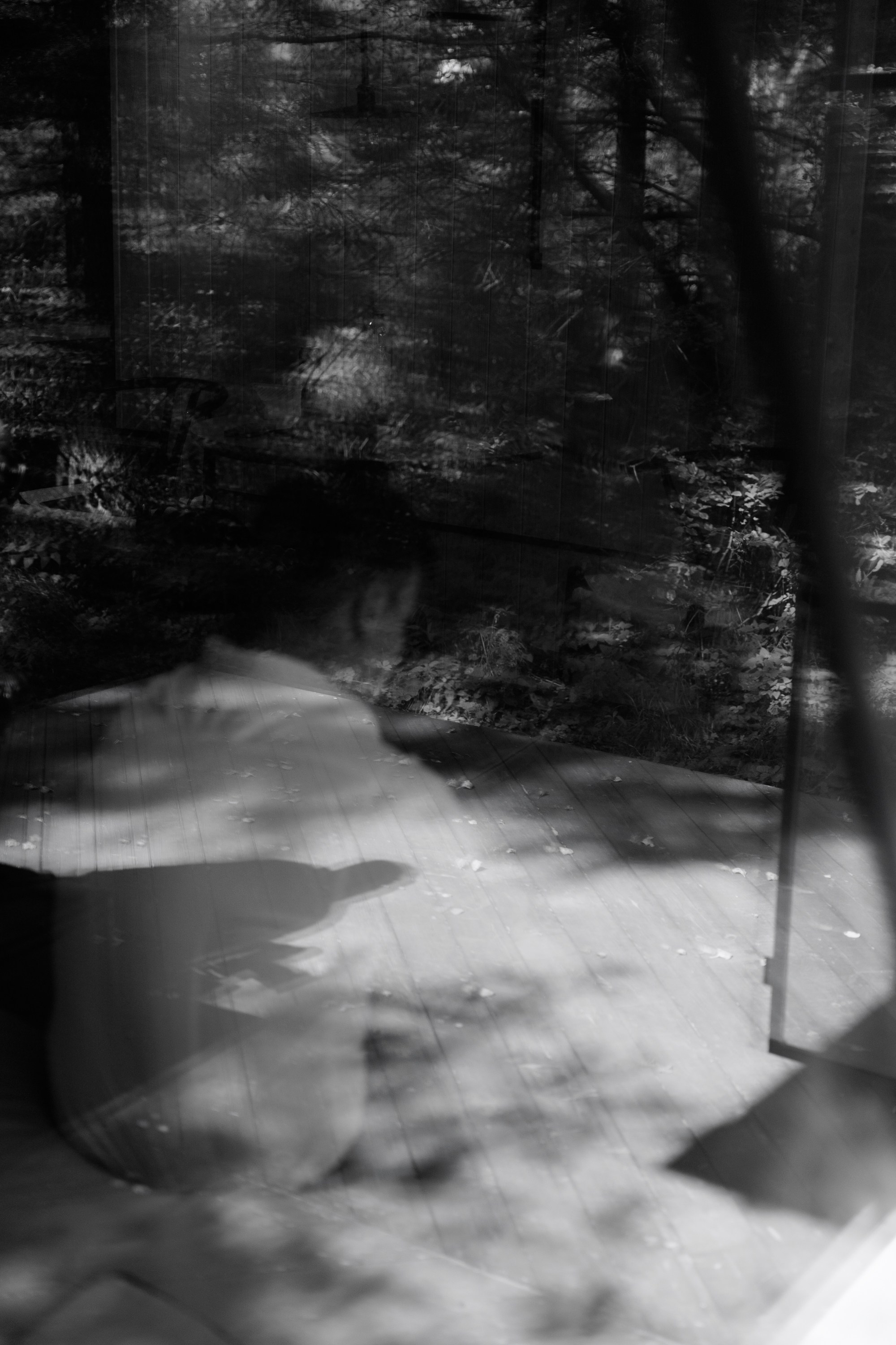 Дмитрий и Алёна. Свадебный фотограф