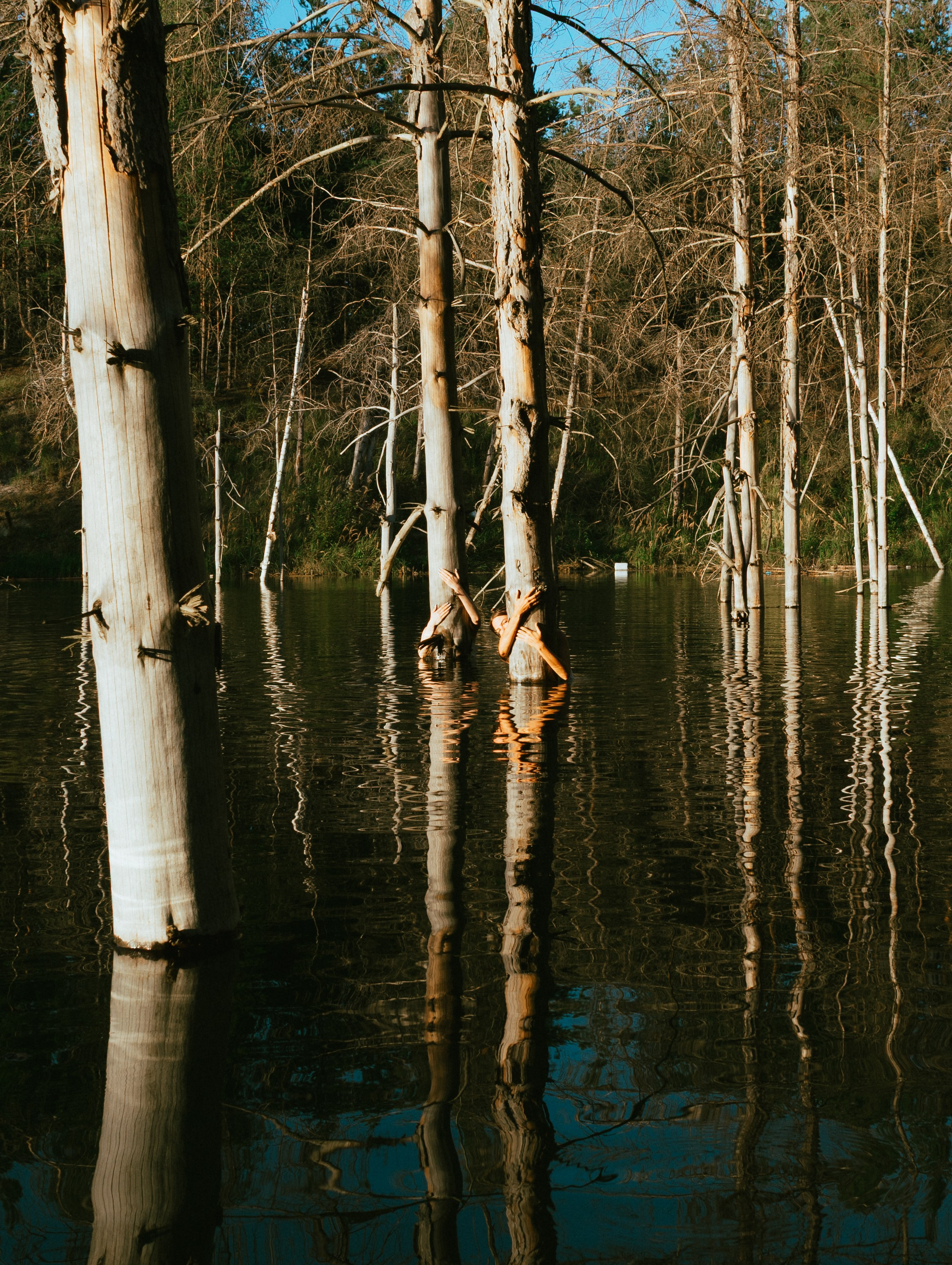 Фотограф | Киреев Семён | Москва