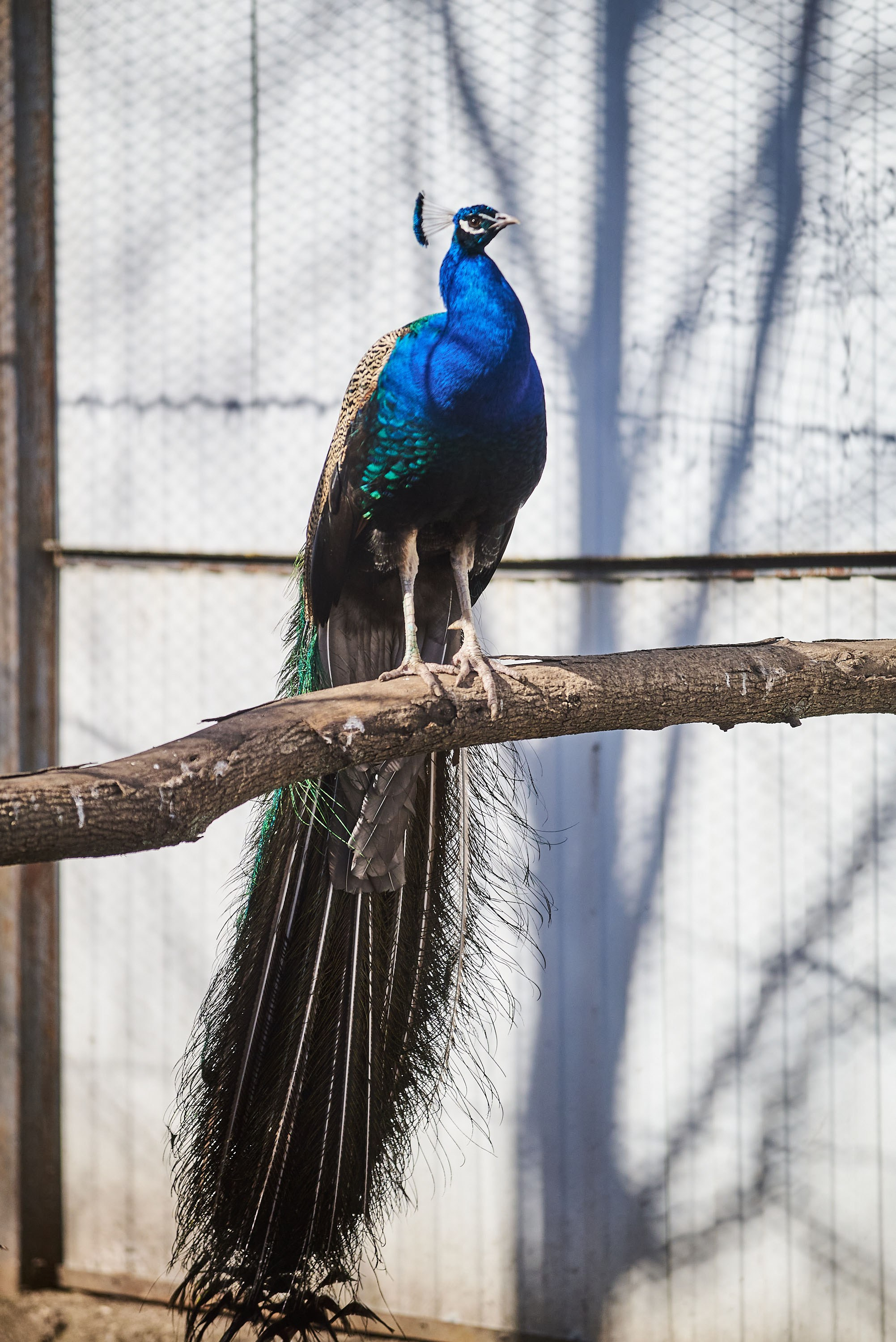 Зоопарк Иваново. Фотограф в Иваново: Каталожная съемка одежды и постельного белья, Wildberries