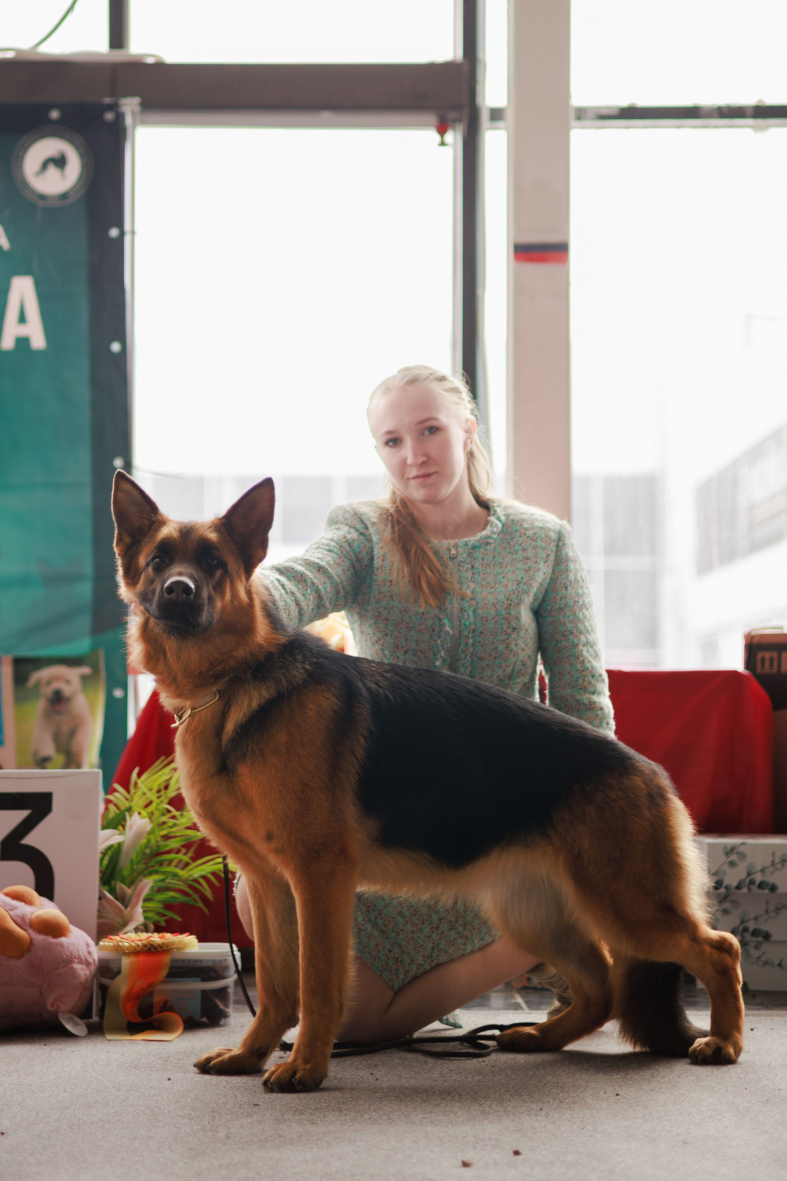 Выставки. Фотограф Марк Файзулин