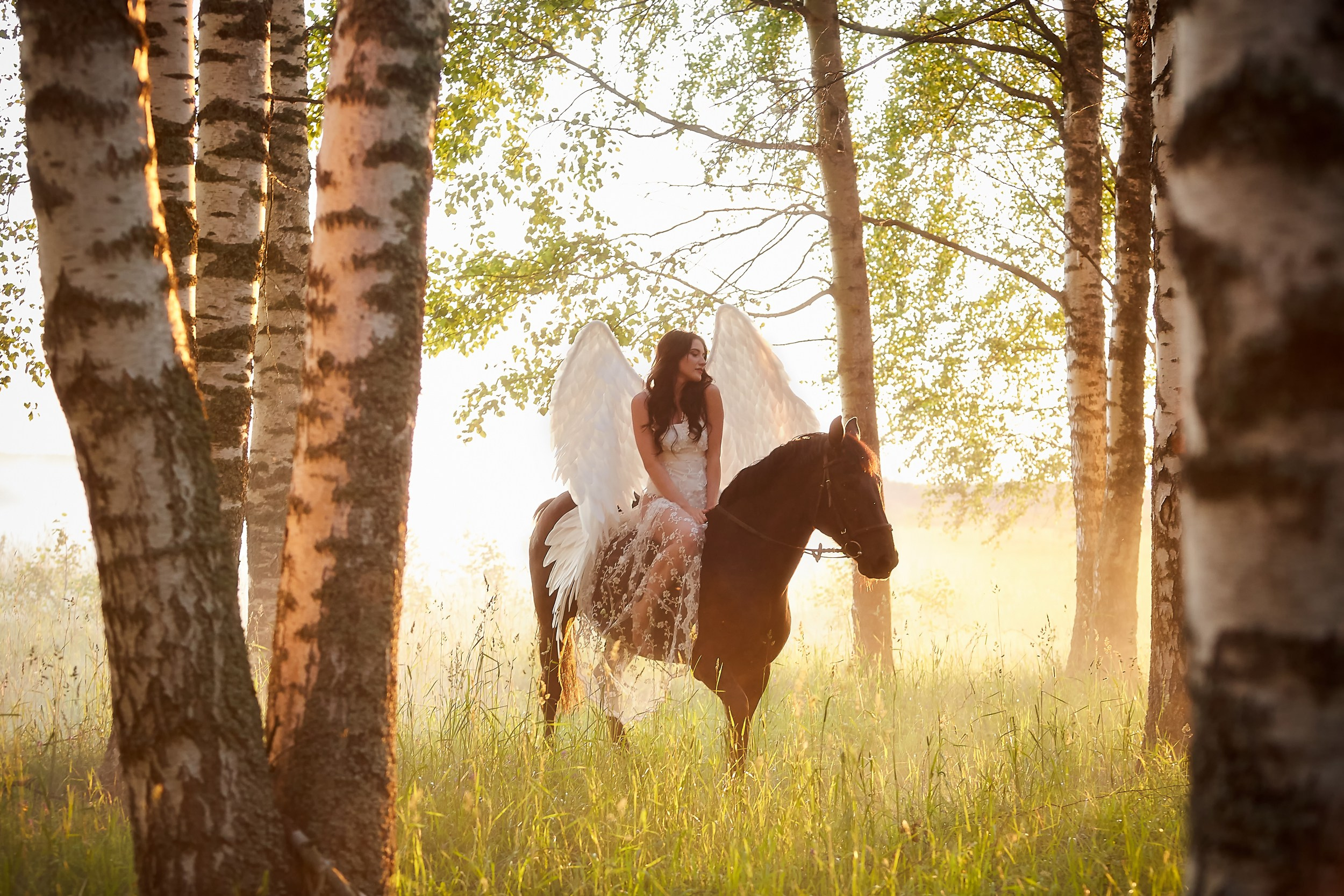Фотосессия с лошадьми Фотограф Михаил Семенов