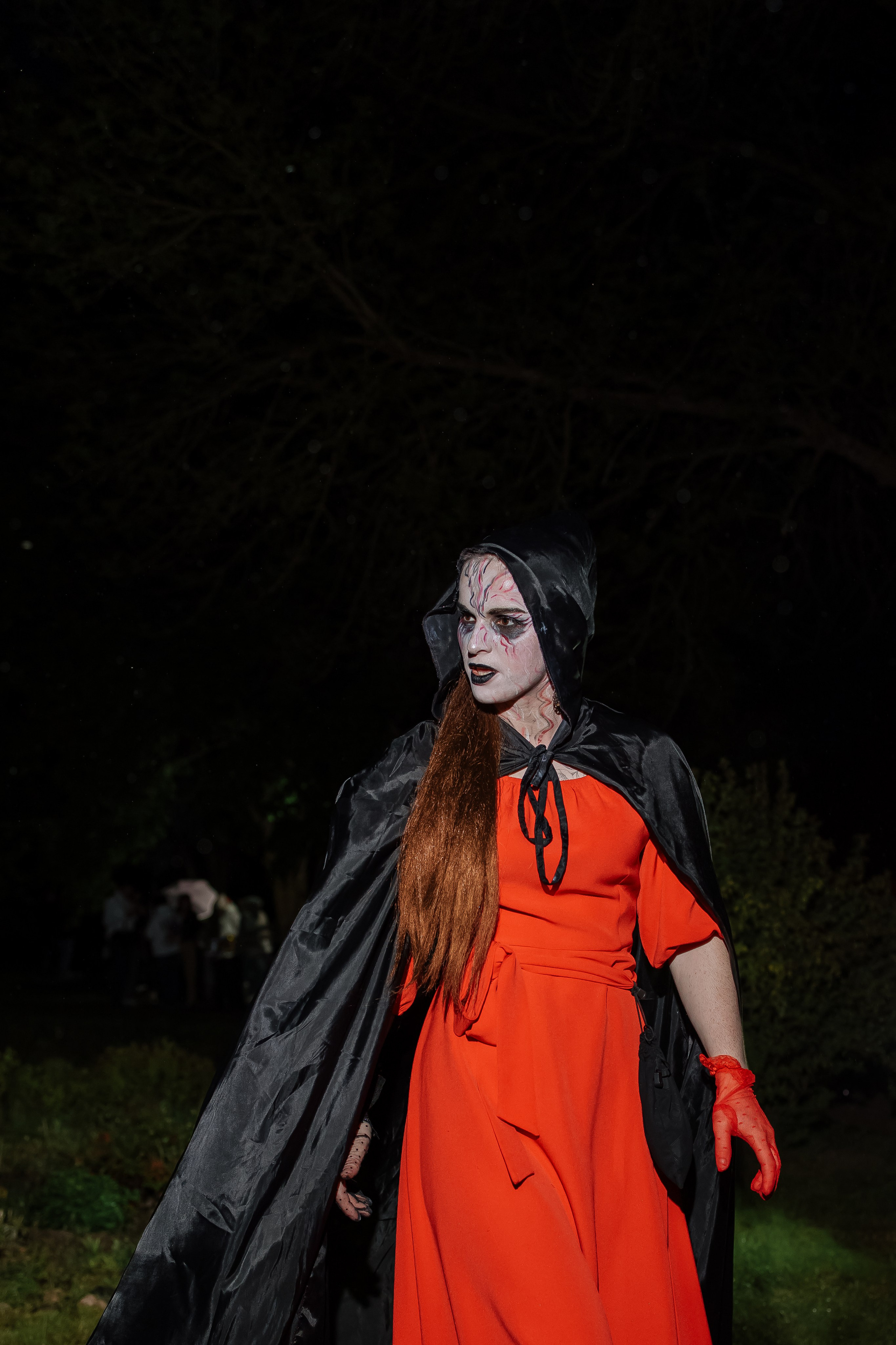 Ночь музеев Здравнево. Свадебный фотограф