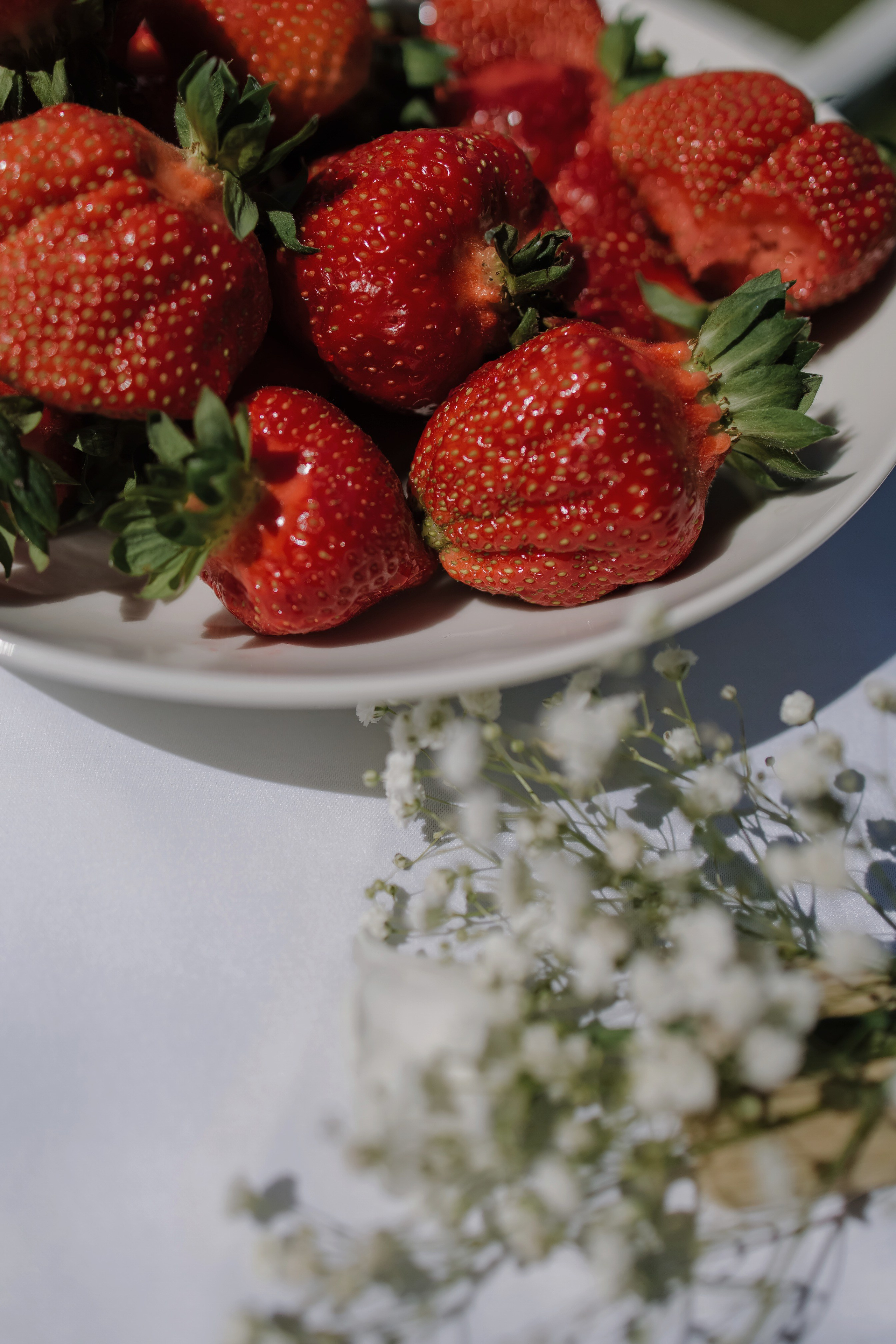 Александр/Кристина. Свадебный фотограф