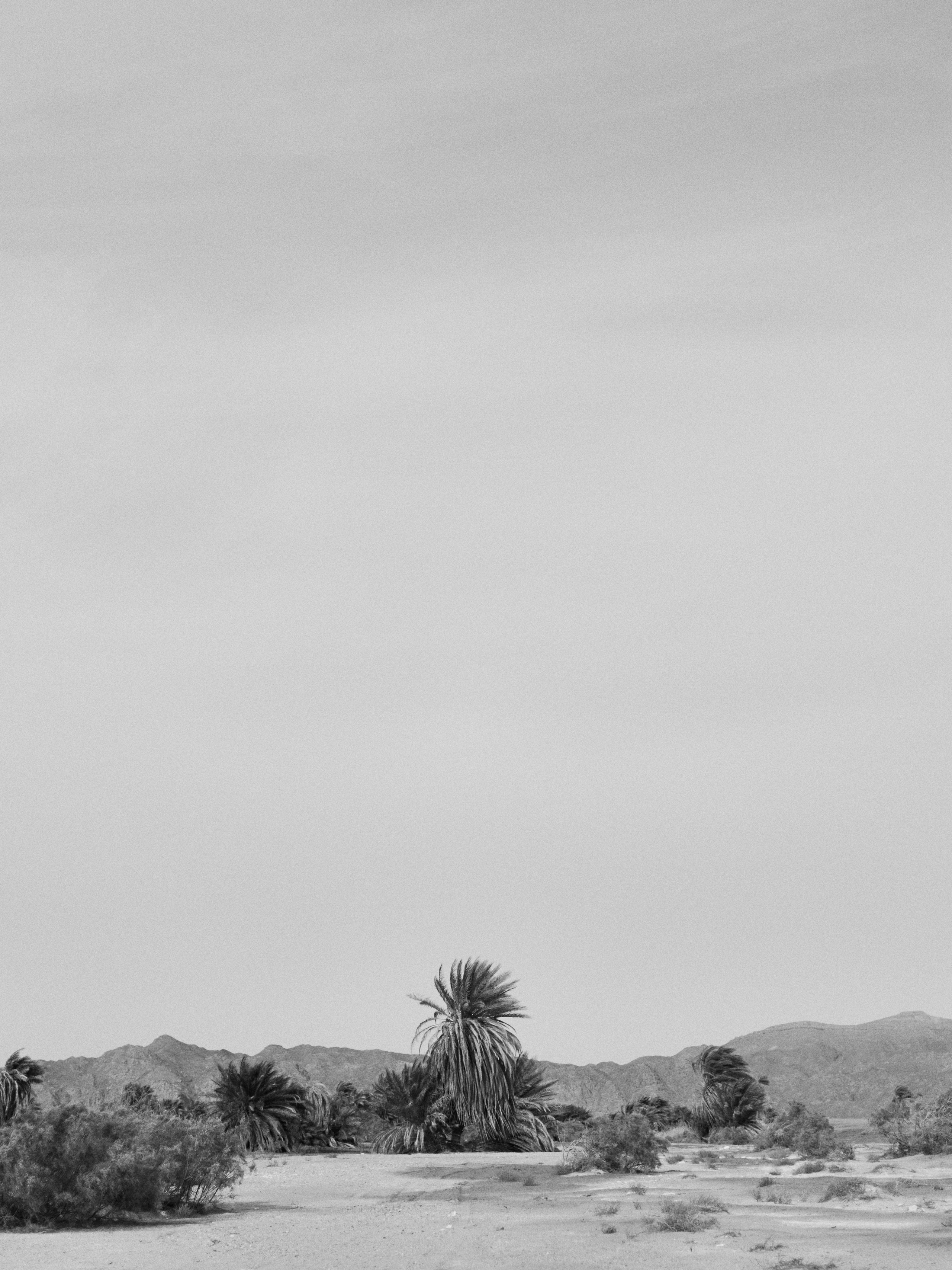 B&W. Jorgis — фотограф в Хургаде / обучение фотографии