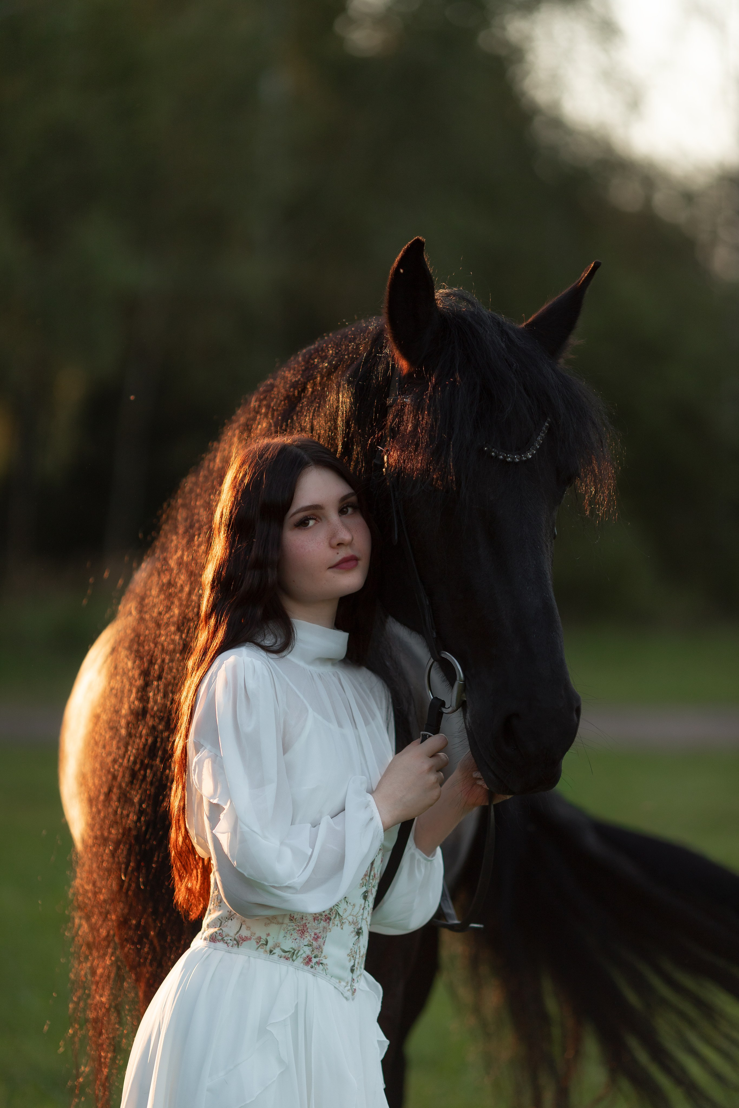 Фотосессия с лошадьми на закате. Фотосессии с лошадьми в Москве от Конный фотографа Кутейниковой Светланы