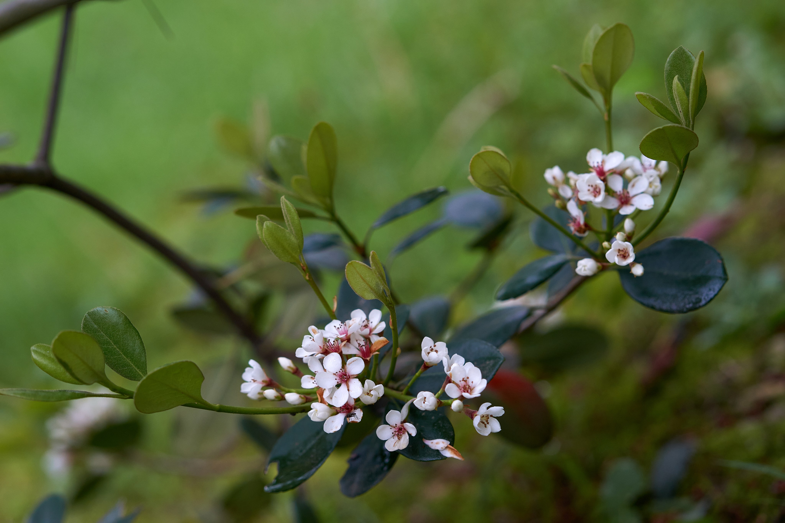 Сочи. Чёрное море. Фотограф Владимир Артамонов