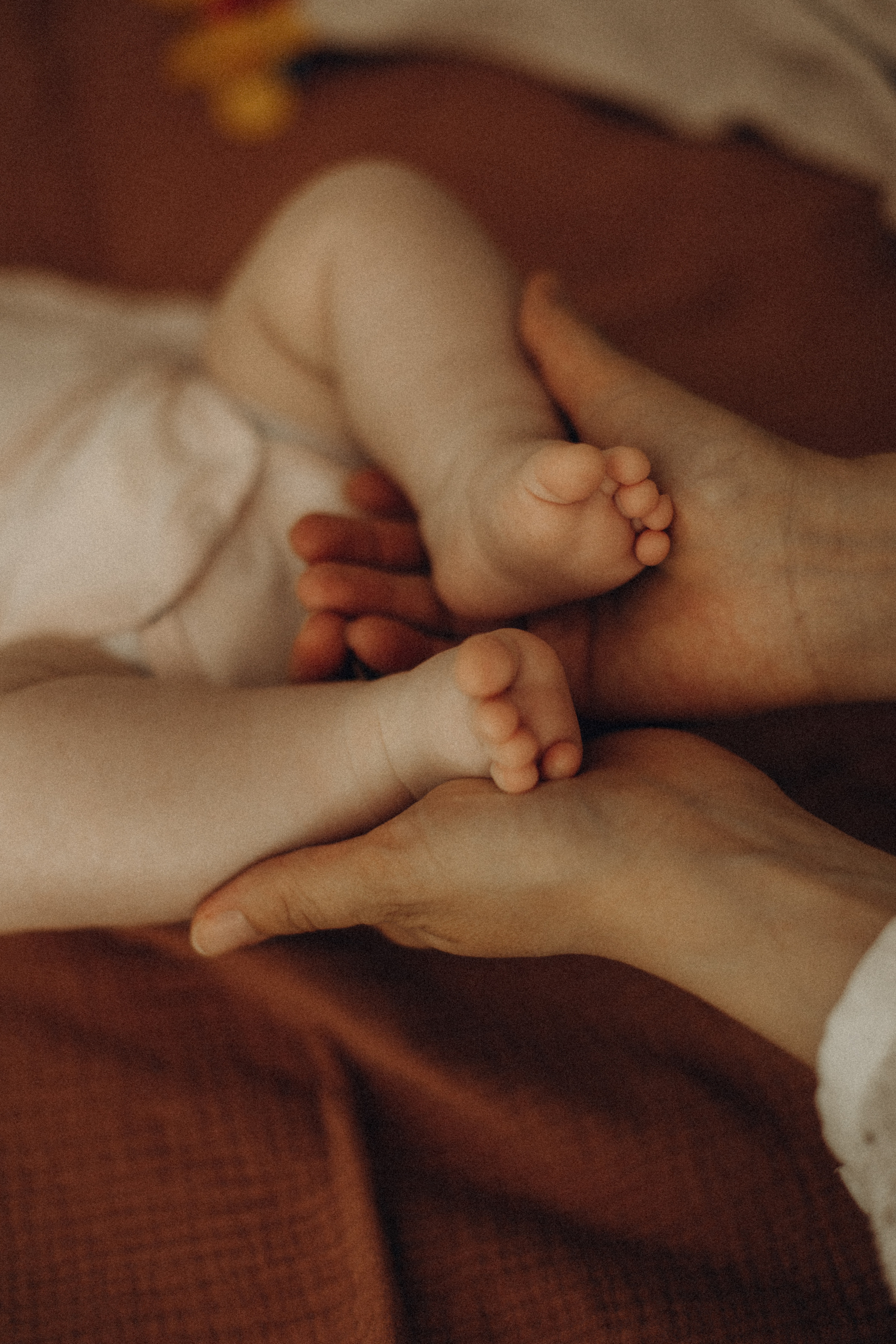 Семья. Свадебный и семейный фотограф в Москве