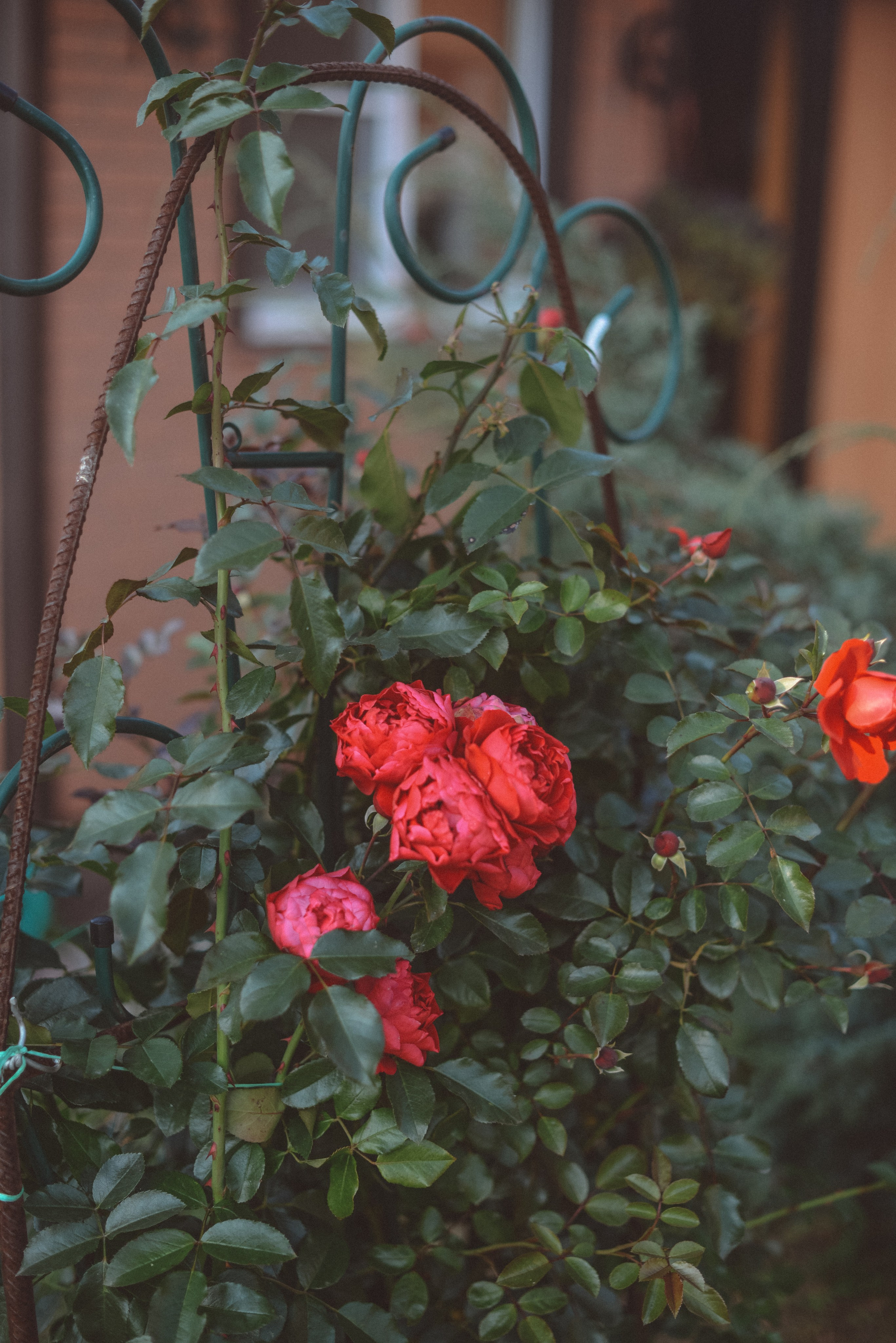 Одним осенним днем. Семейный и детский фотограф в Москве Князева Диана