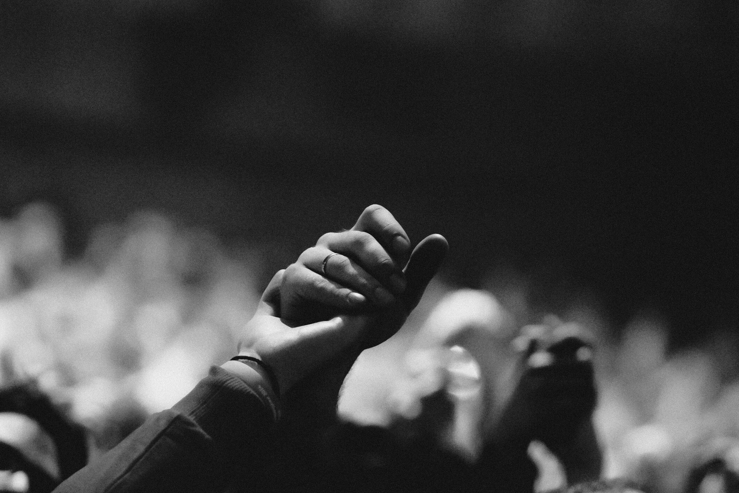 Всемирный фестиваль молодёжи | Сириус | 2024