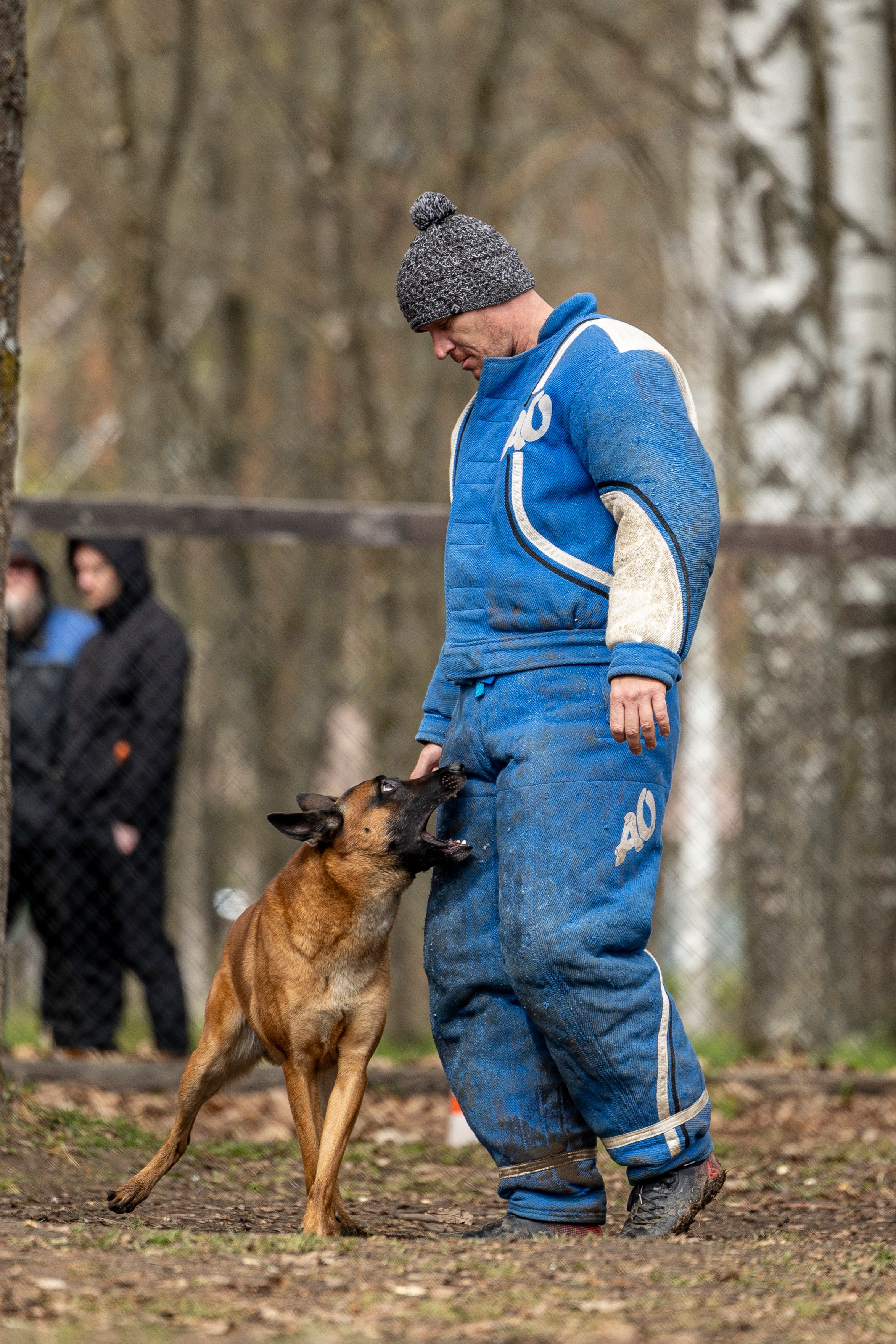 Квалификационные состязания по мондьорингу г. Вологда 11.05.24. Фотограф-анималист Анна Маринич
