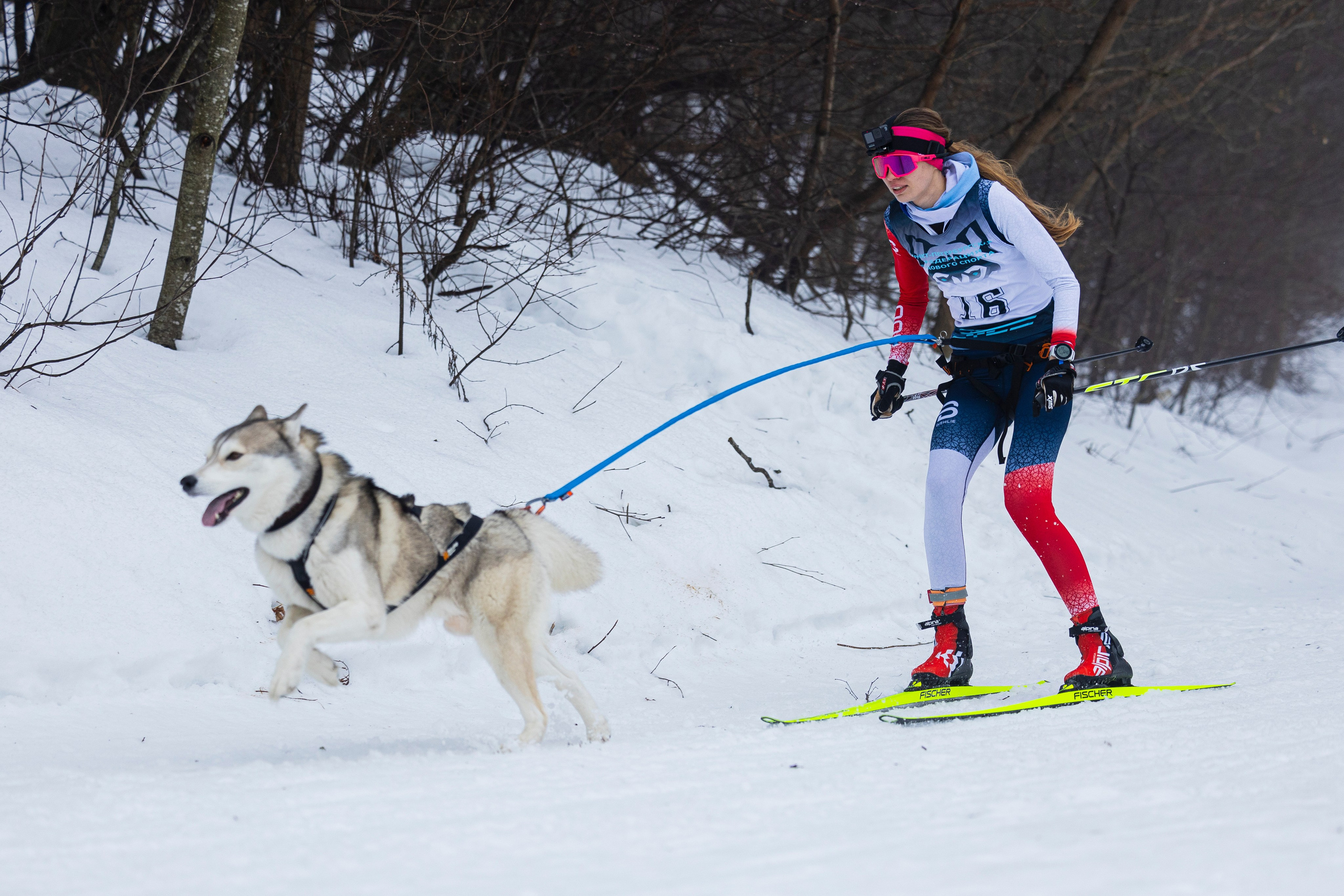 Зимний Чемпионат Санкт-Петербурга по ездовому спорту. Фотограф-анималист Анна Маринич
