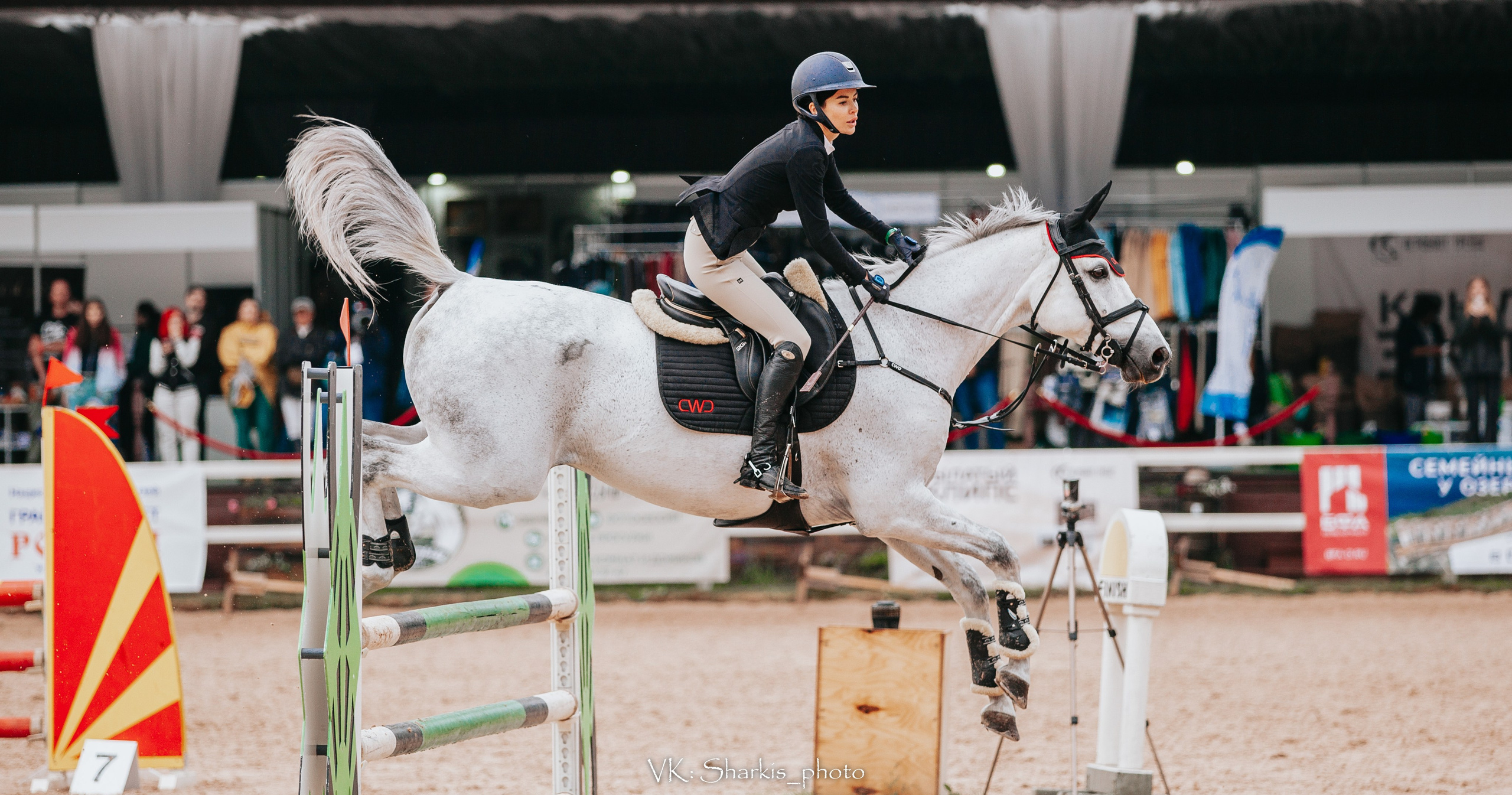 Лошади. Главная