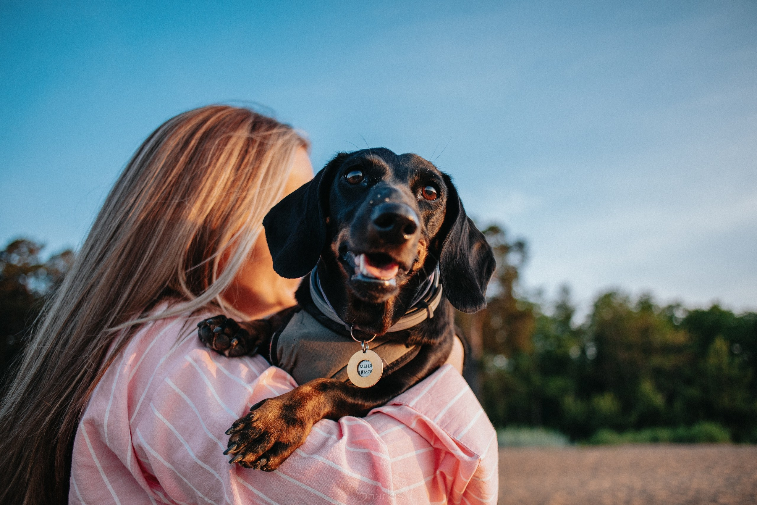 Аня и Алиса. Главная