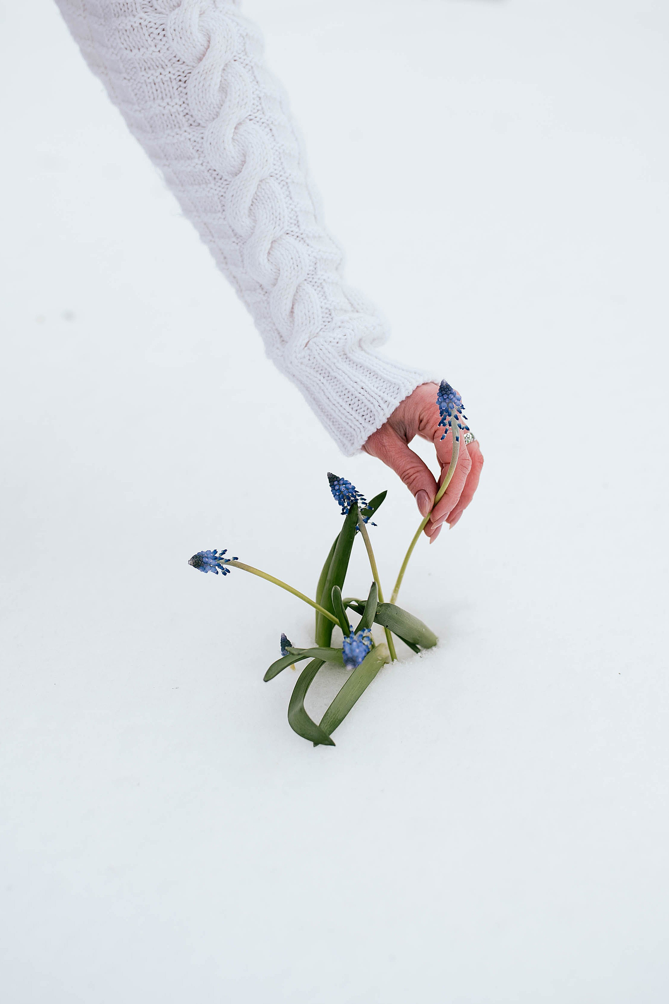 Ирина. Свадебный, семейный фотограф в Рязани Лена Брант