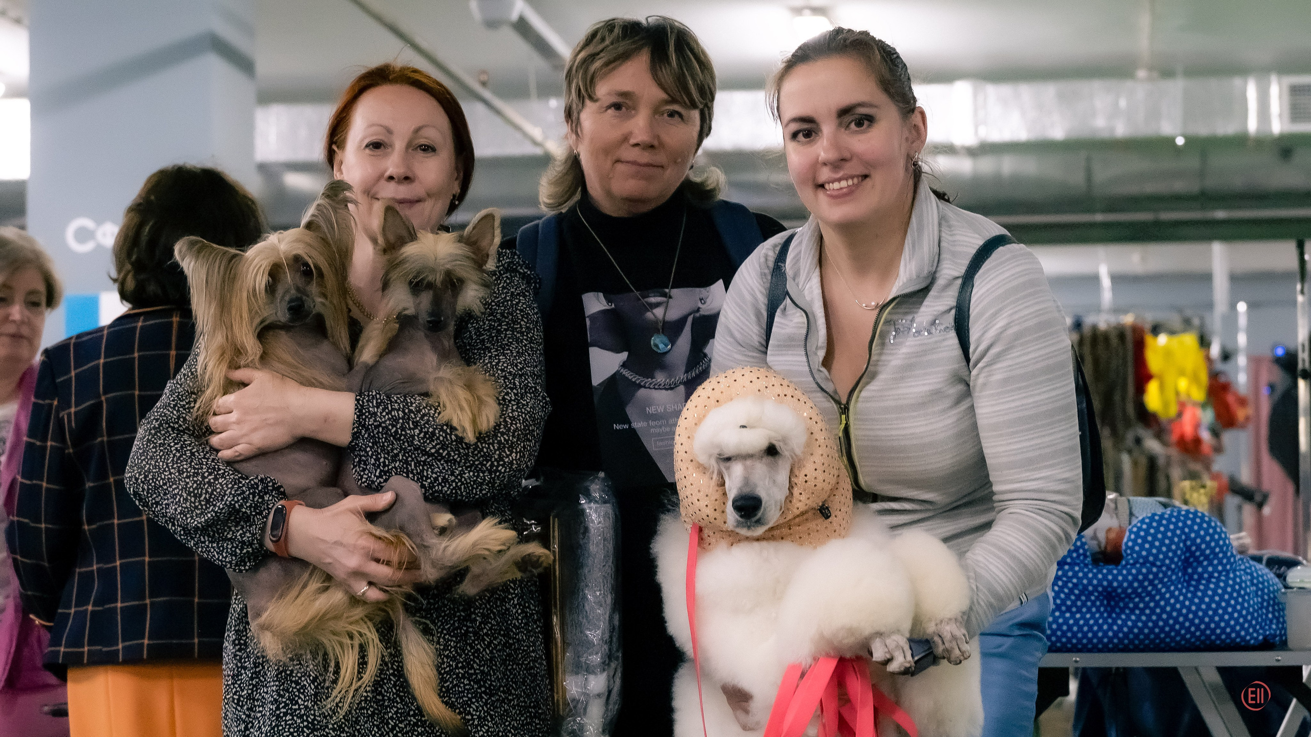 Друг человека. Фотограф в Москве