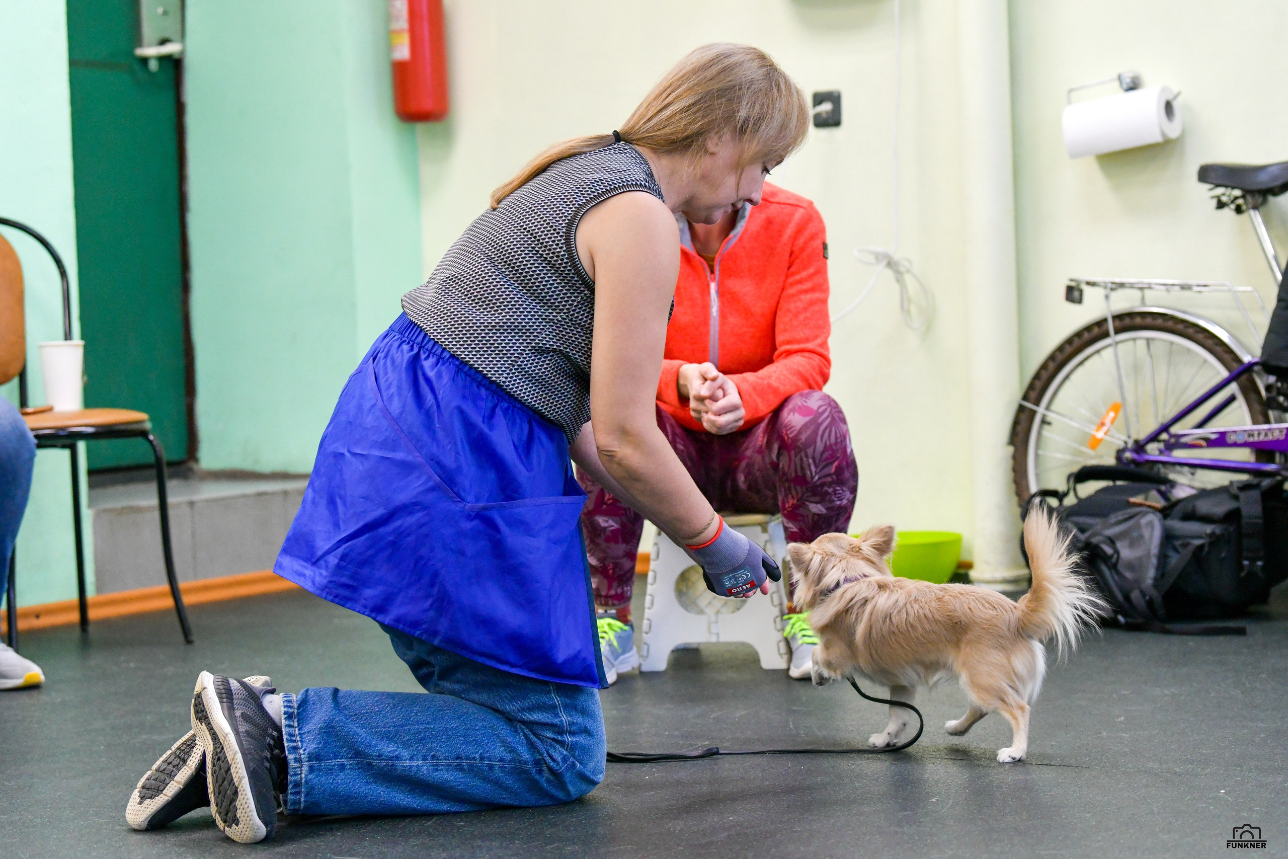 Кинологический клуб «Бодрый хвост». Свой взгляд через объектив