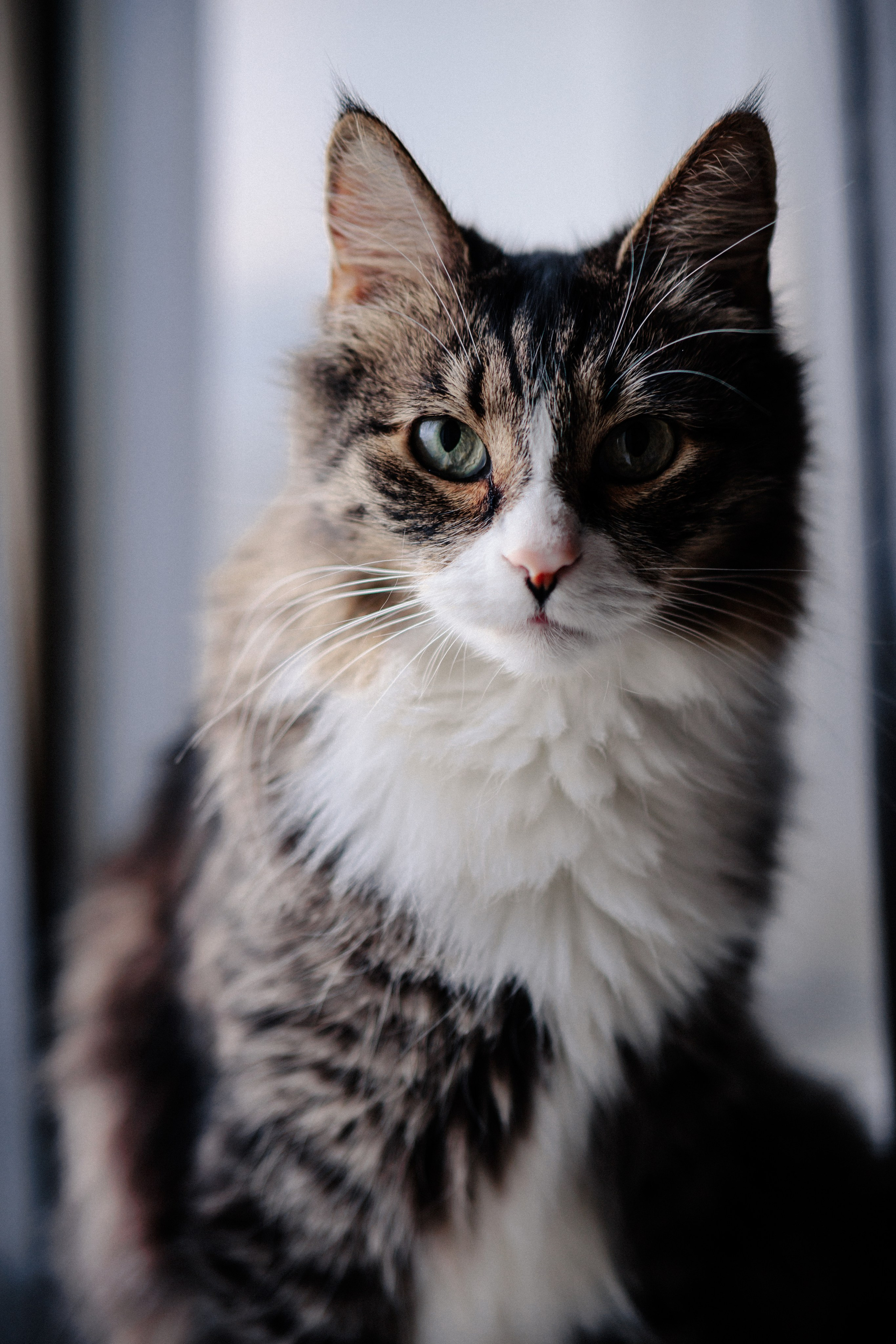 Ася и ее семья. Фотограф в Санкт-Петербурге Алёна Губинская