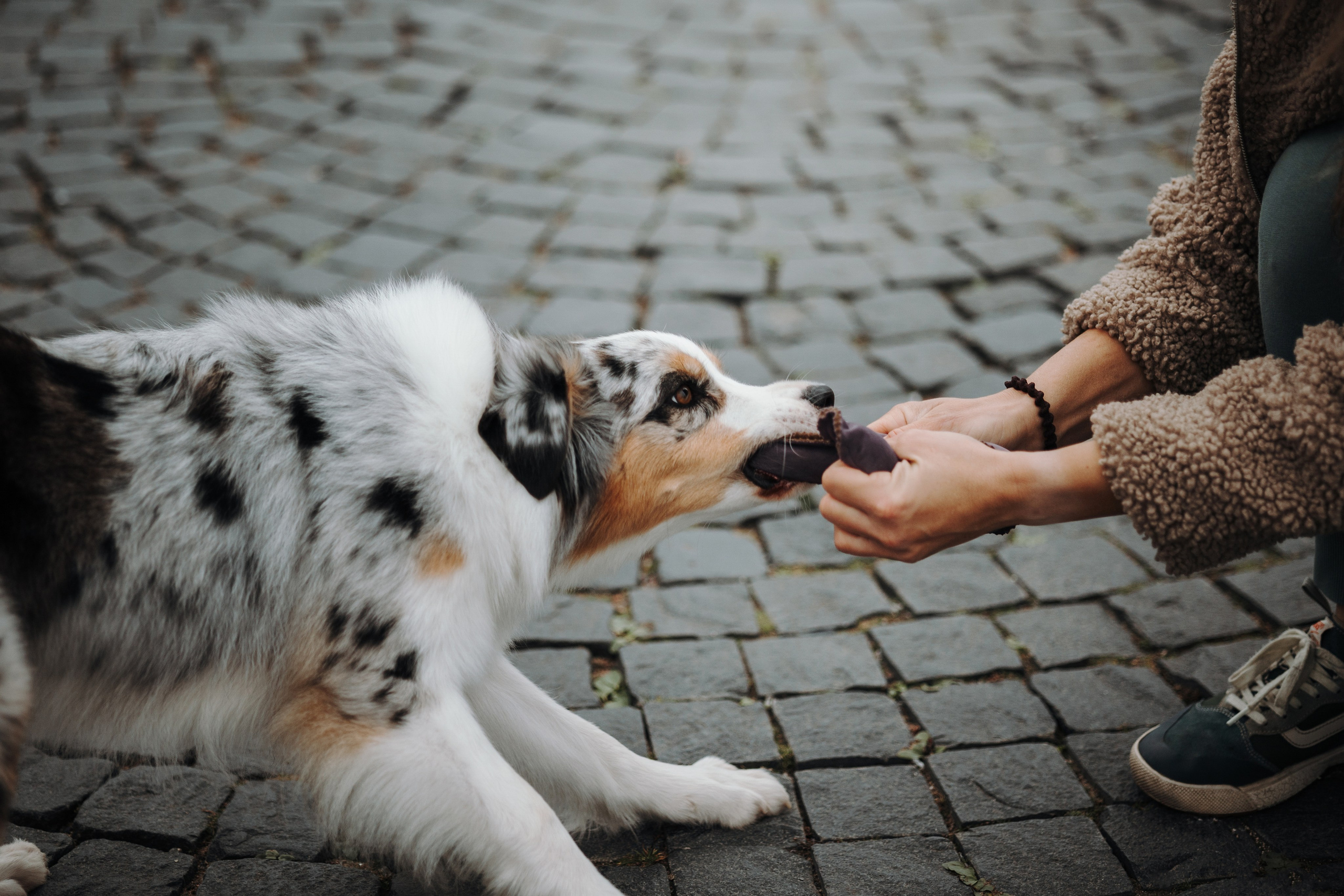 Ирина и Кайса. Фотограф — Анималист | Санкт-Петербург