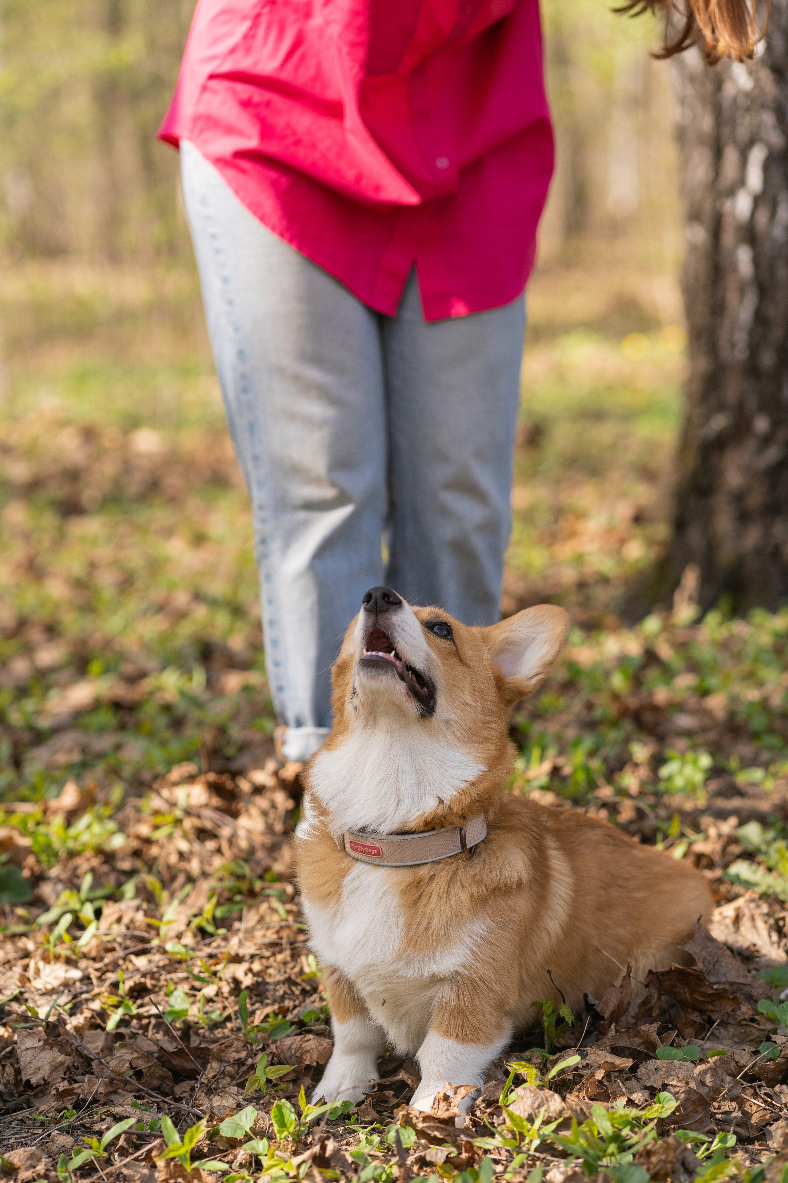 Саша, Настя, Луна. Свадебный фотограф в Москве Анна Полушина