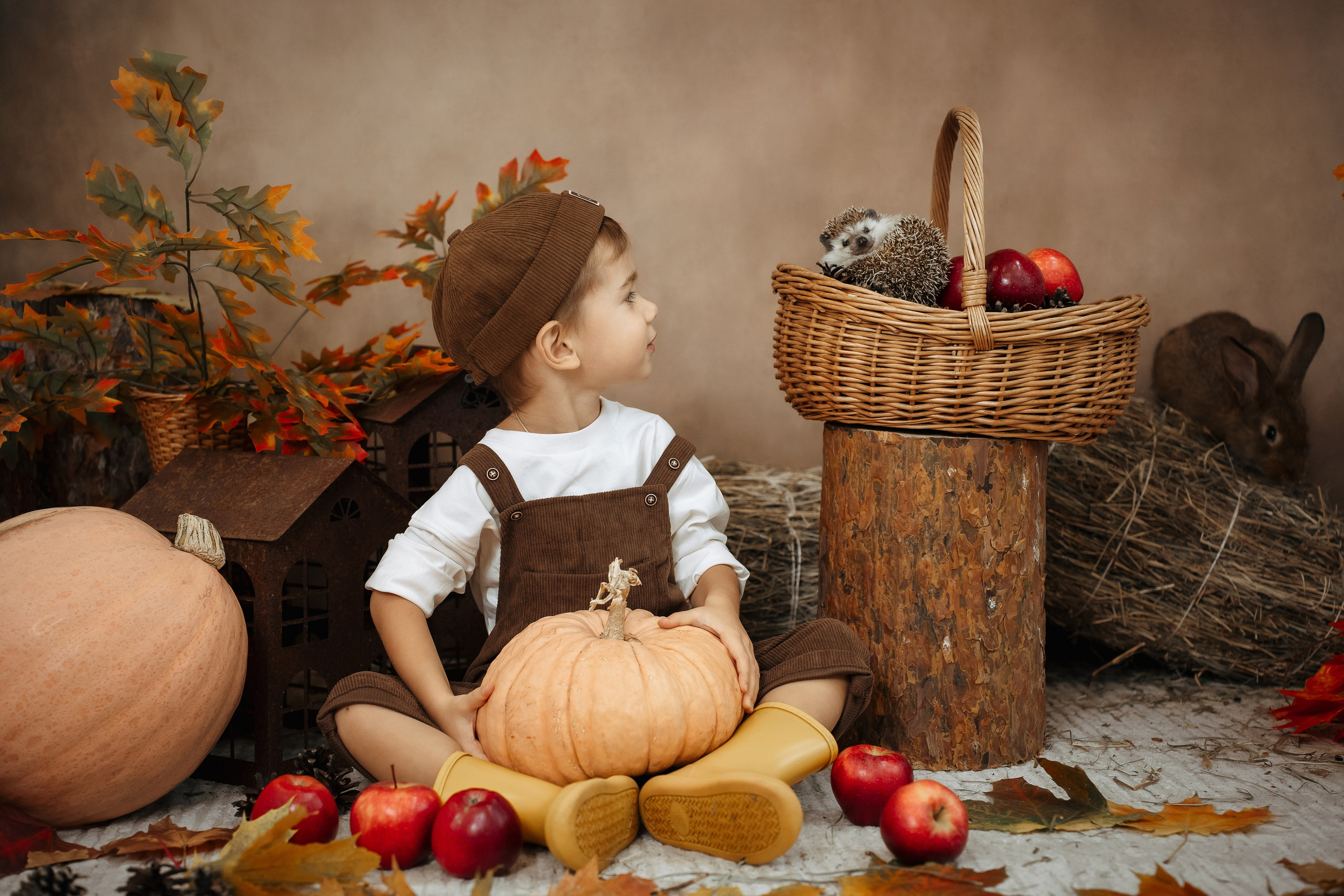 Ёжик. Фотограф Казакова Анастасия