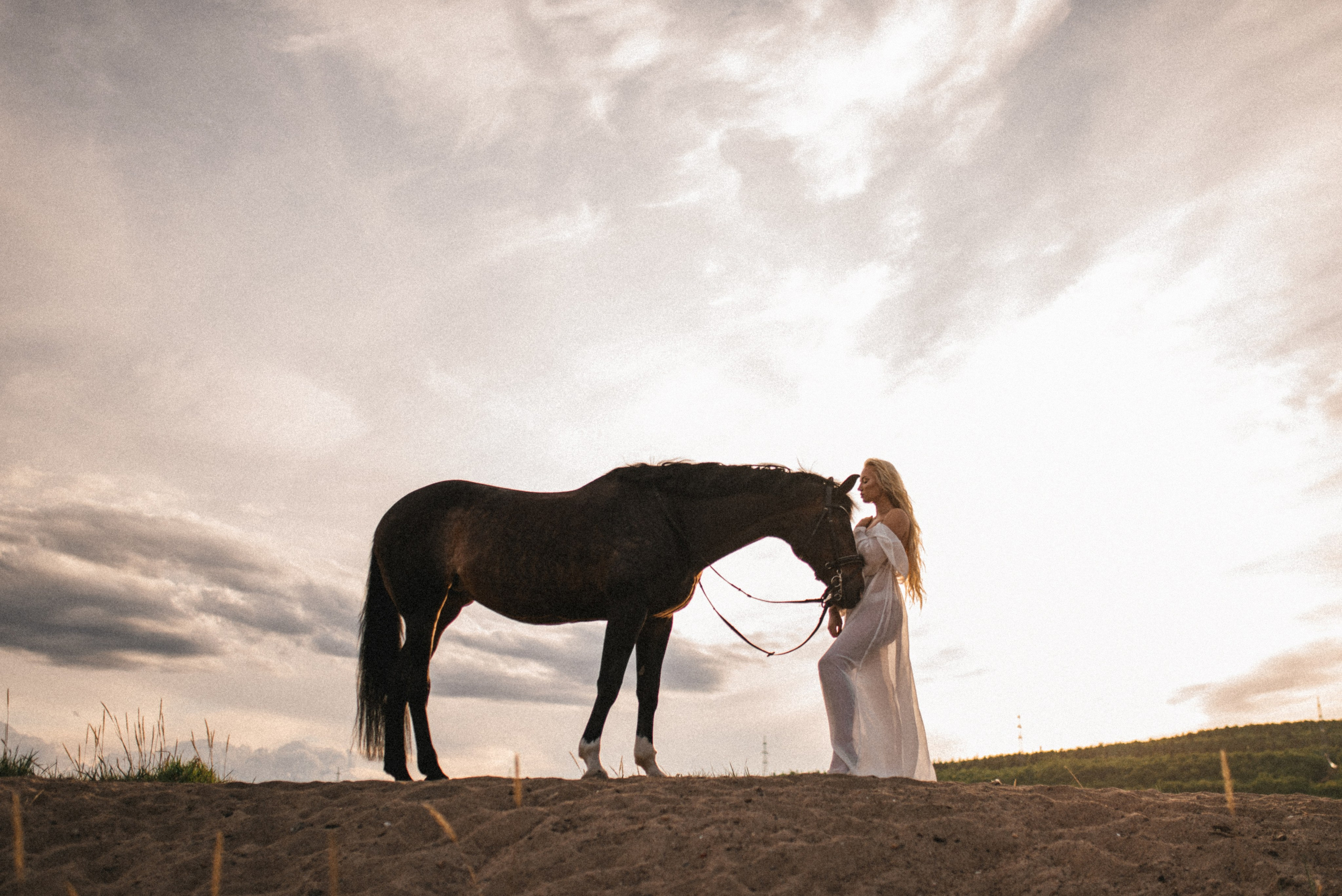 Валерия. Атмосферная фотосессия с лошадью. Фотограф в Мурманске Екатерина Рудак