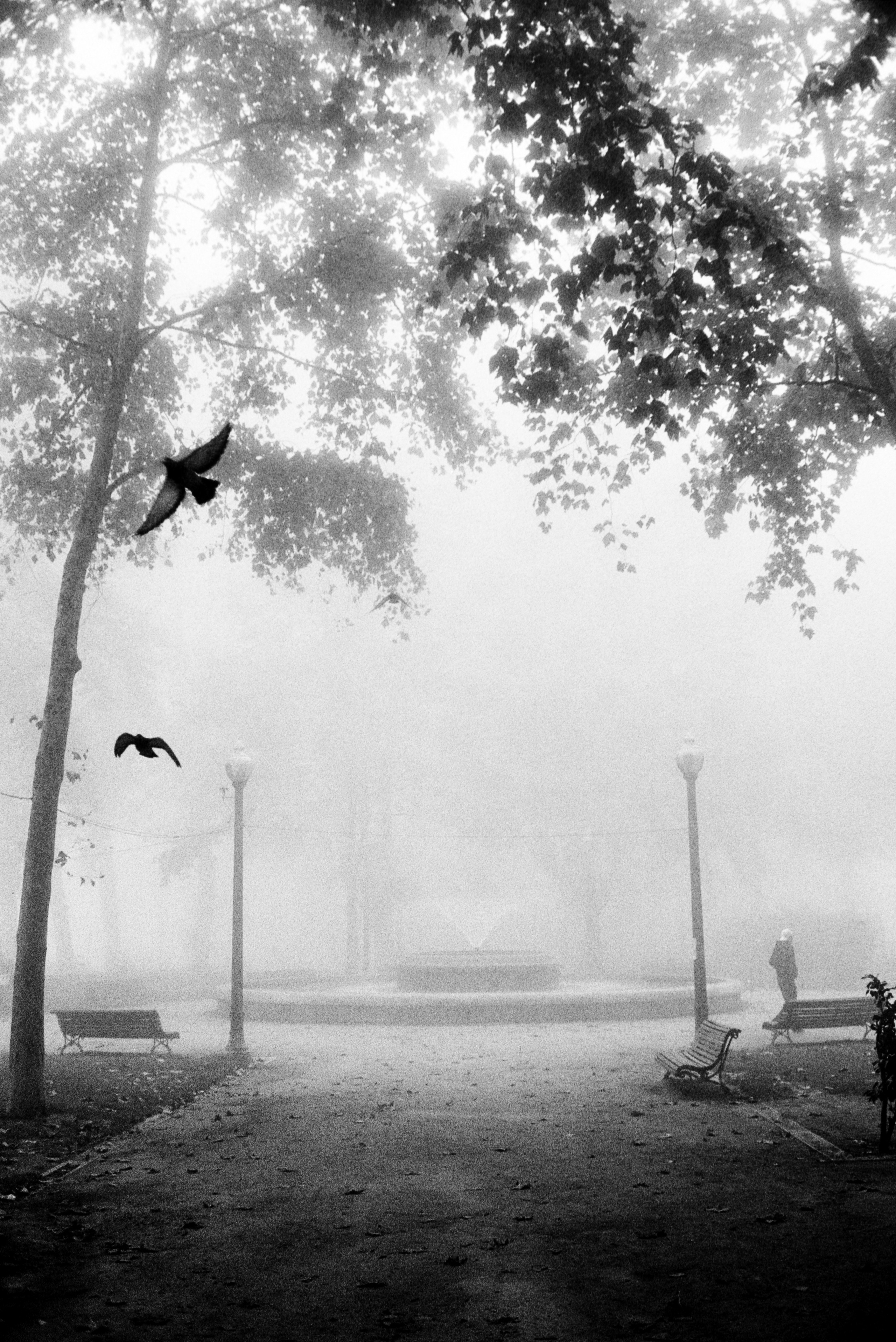 Scan Samples. FilmLab.pt