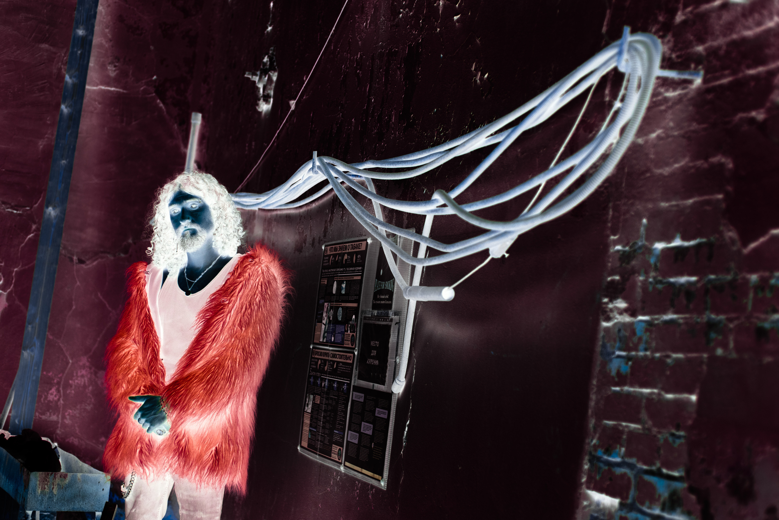 Аман. Фотограф в Москве