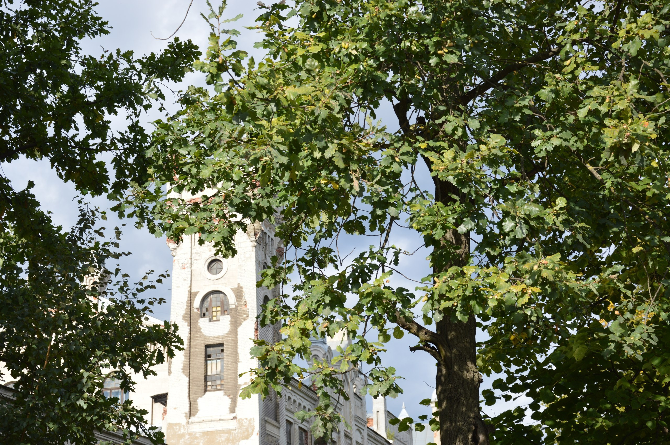 Егорьевск | 10.09.2016. Галерея Фантим