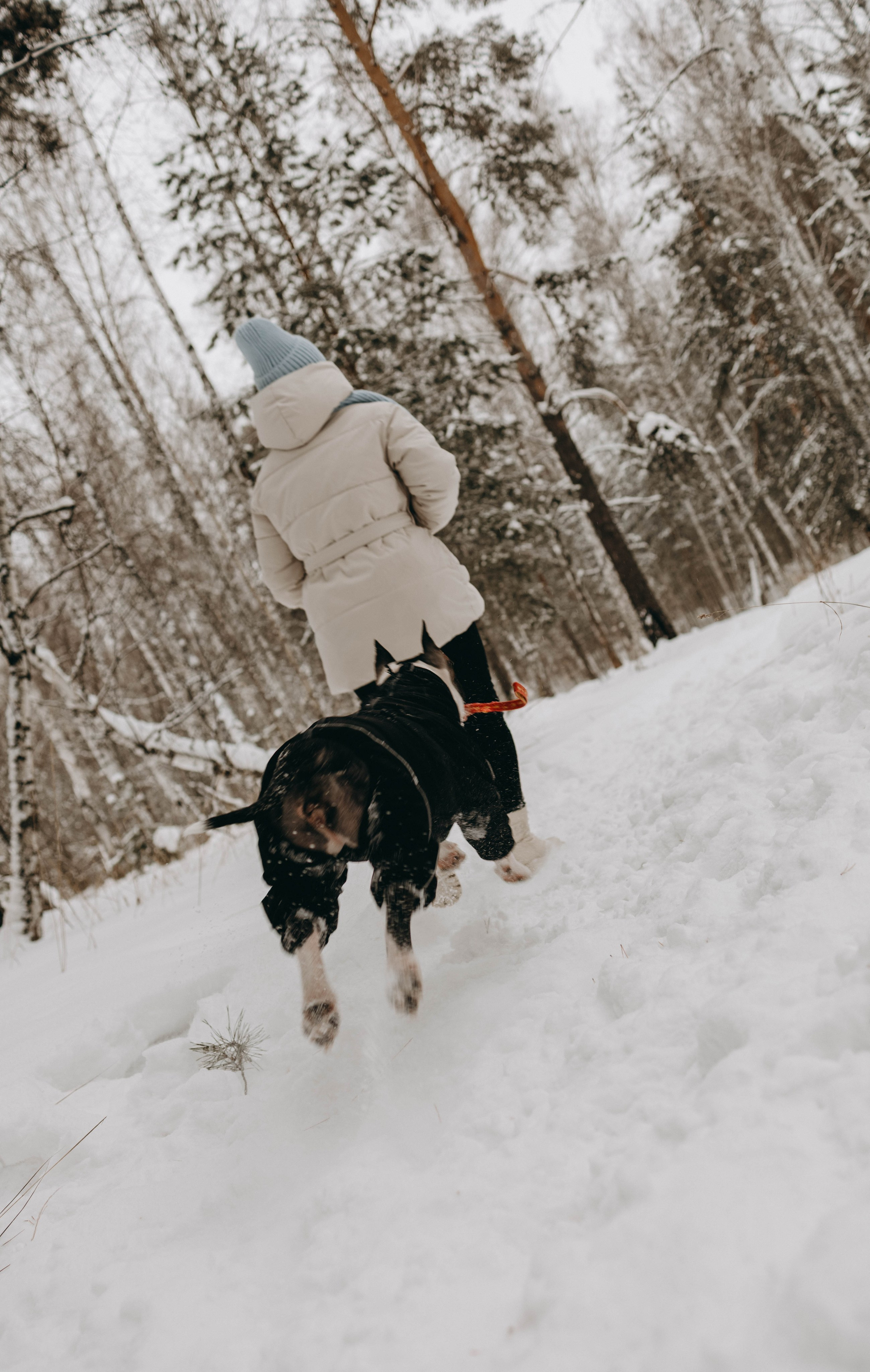 Обо мне. Фотограф-анималист в Екатеринбурге | Кристина