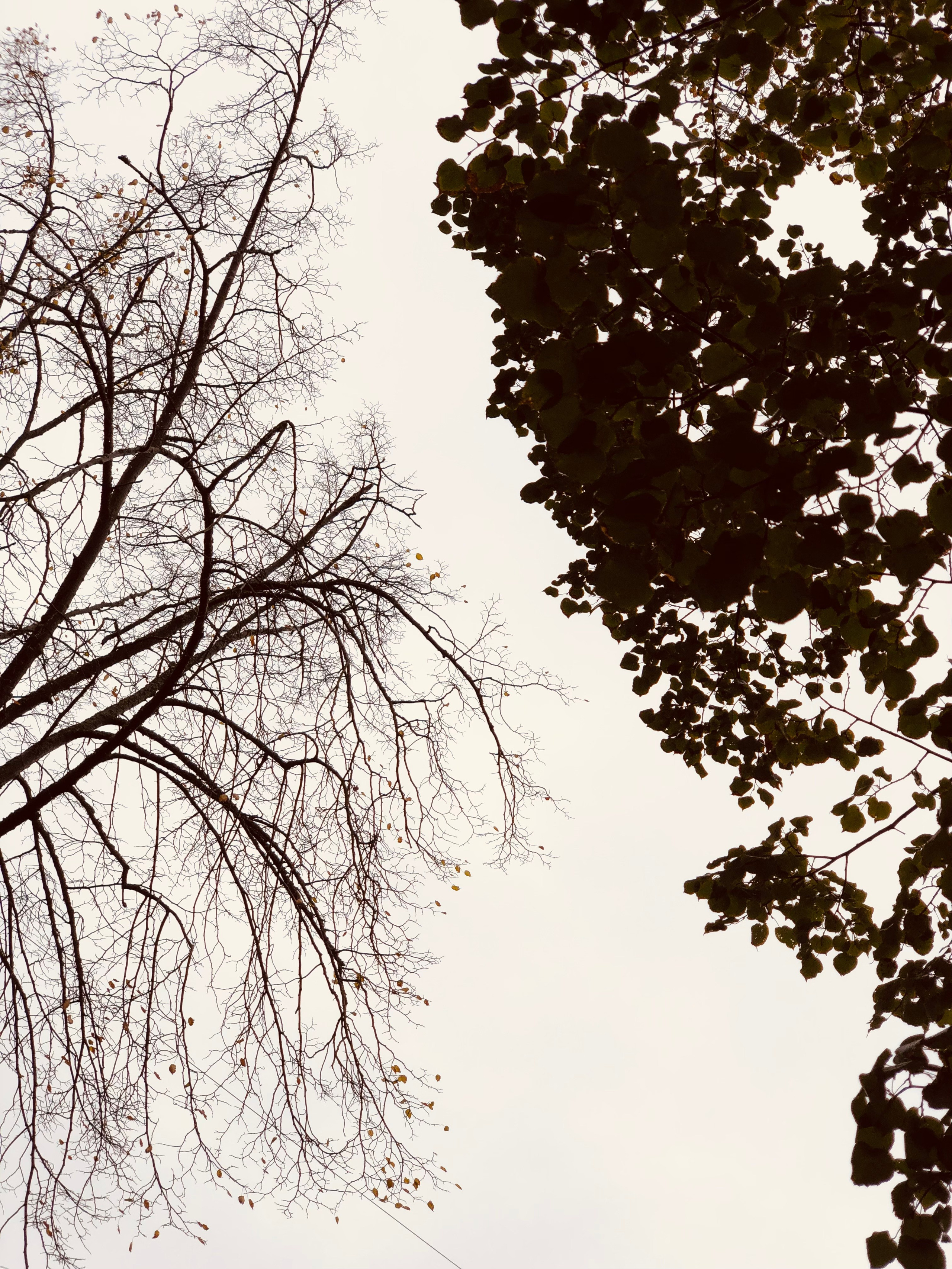 Октябрь. Семейный, Свадебный фотограф СПБ Питер— Романова Екатерина