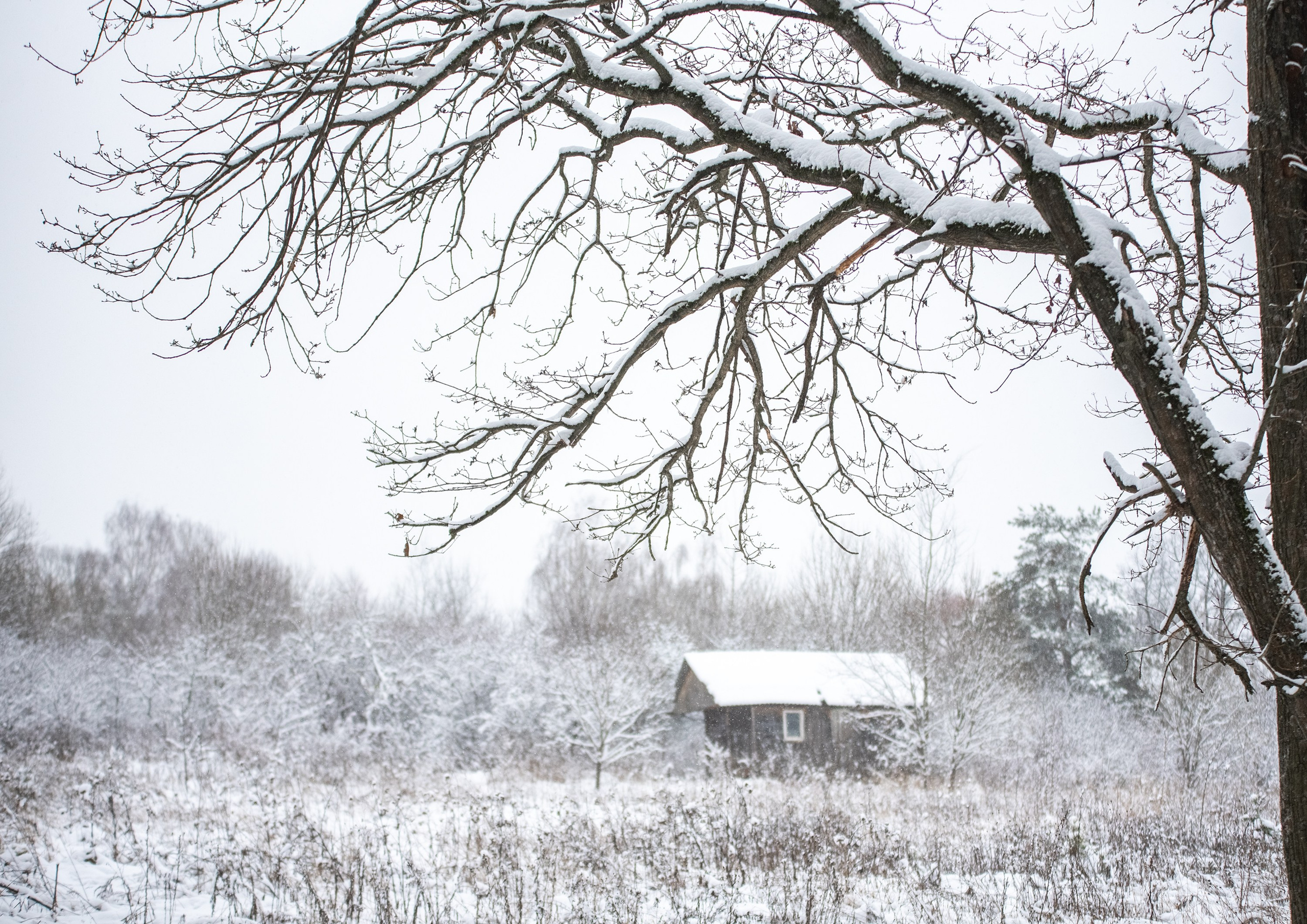 Природа. Съемки в стиле Goblicore и прочая нечисть. Конный фотограф из Москвы Ирина Бондаркова