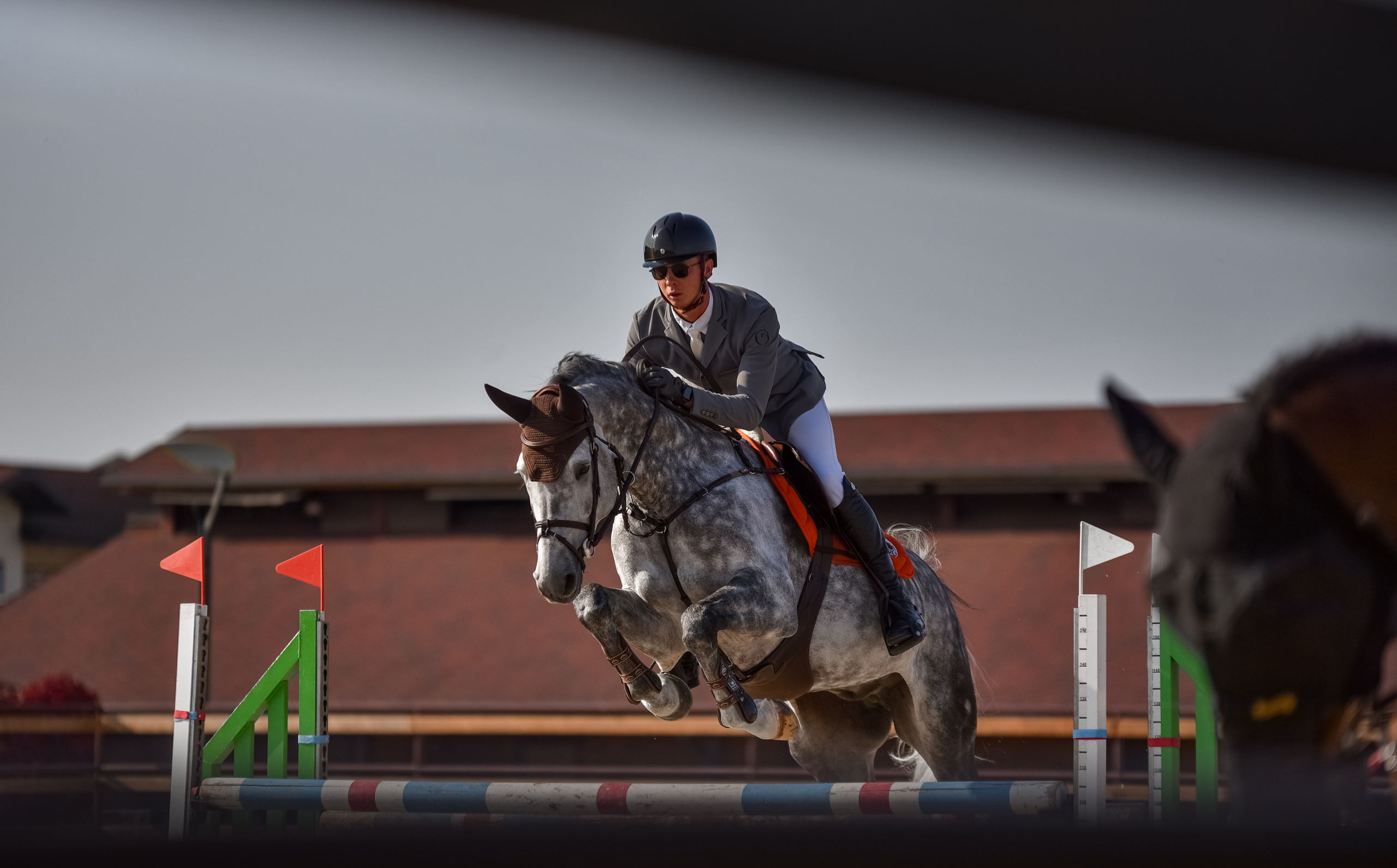 Репортажная съемка конных мероприятий. Конный фотограф из Москвы Ирина Бондаркова