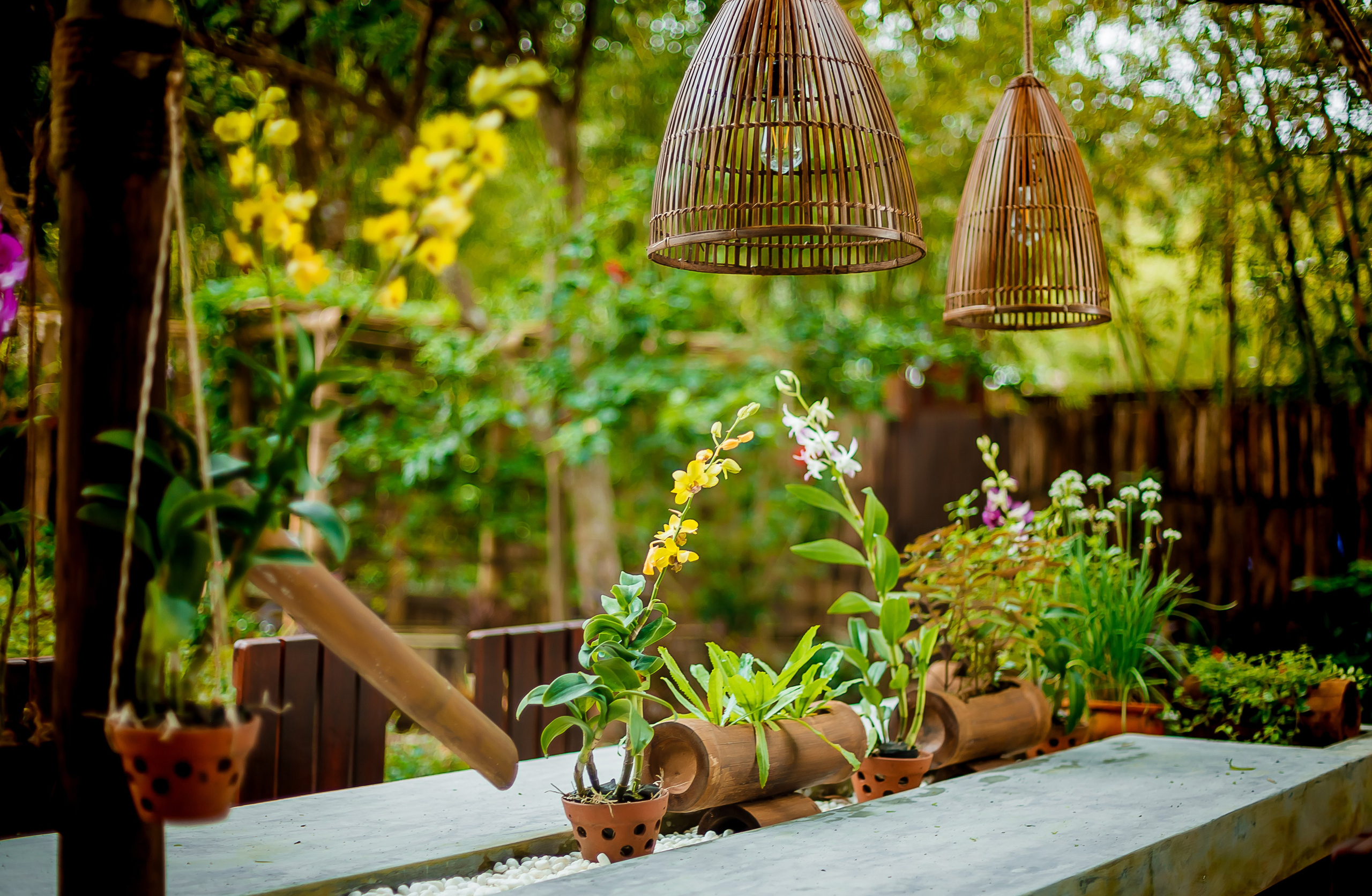 Репортажный фотограф Ялта. Репортажный фотограф Ялта