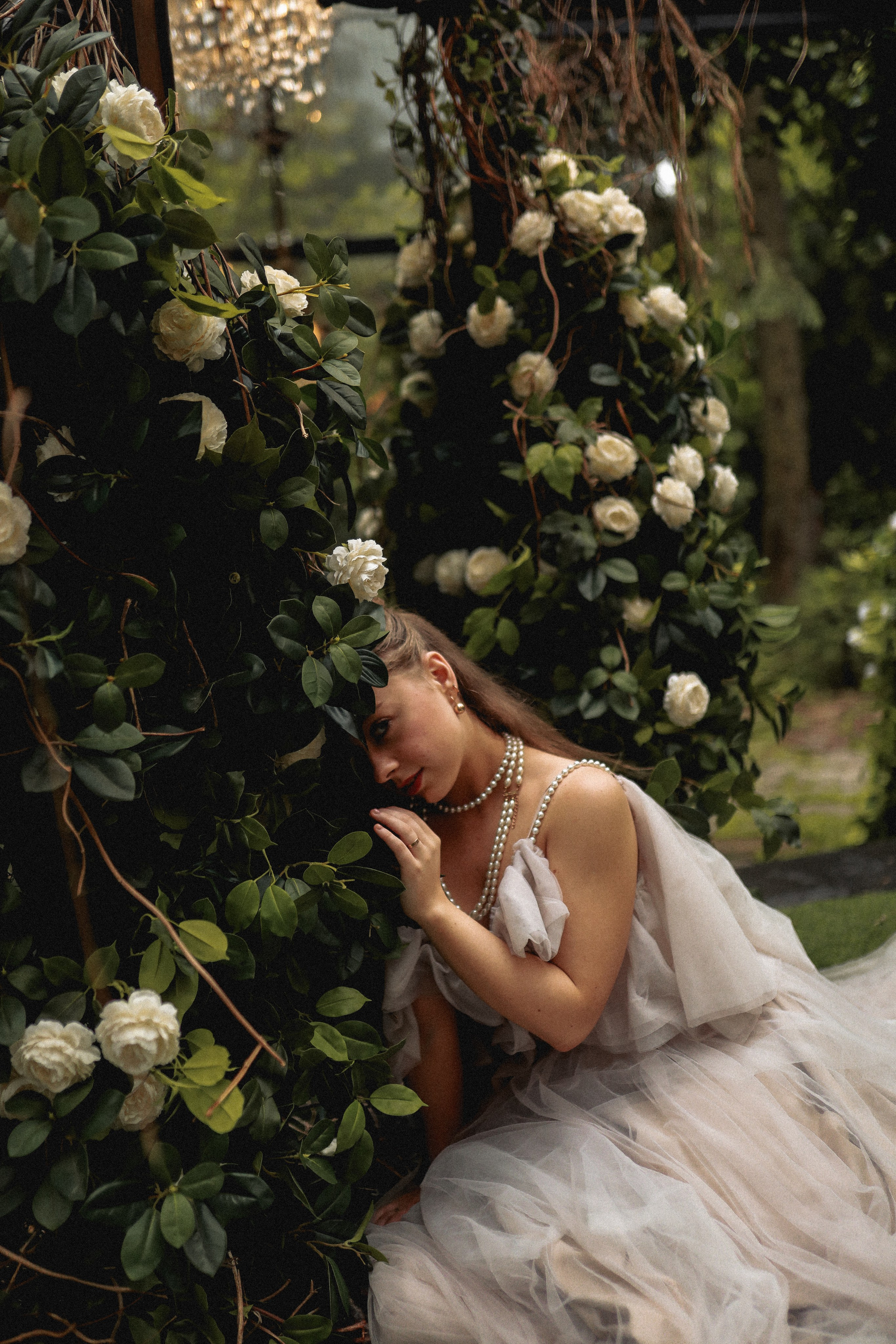 Зачарованный лес