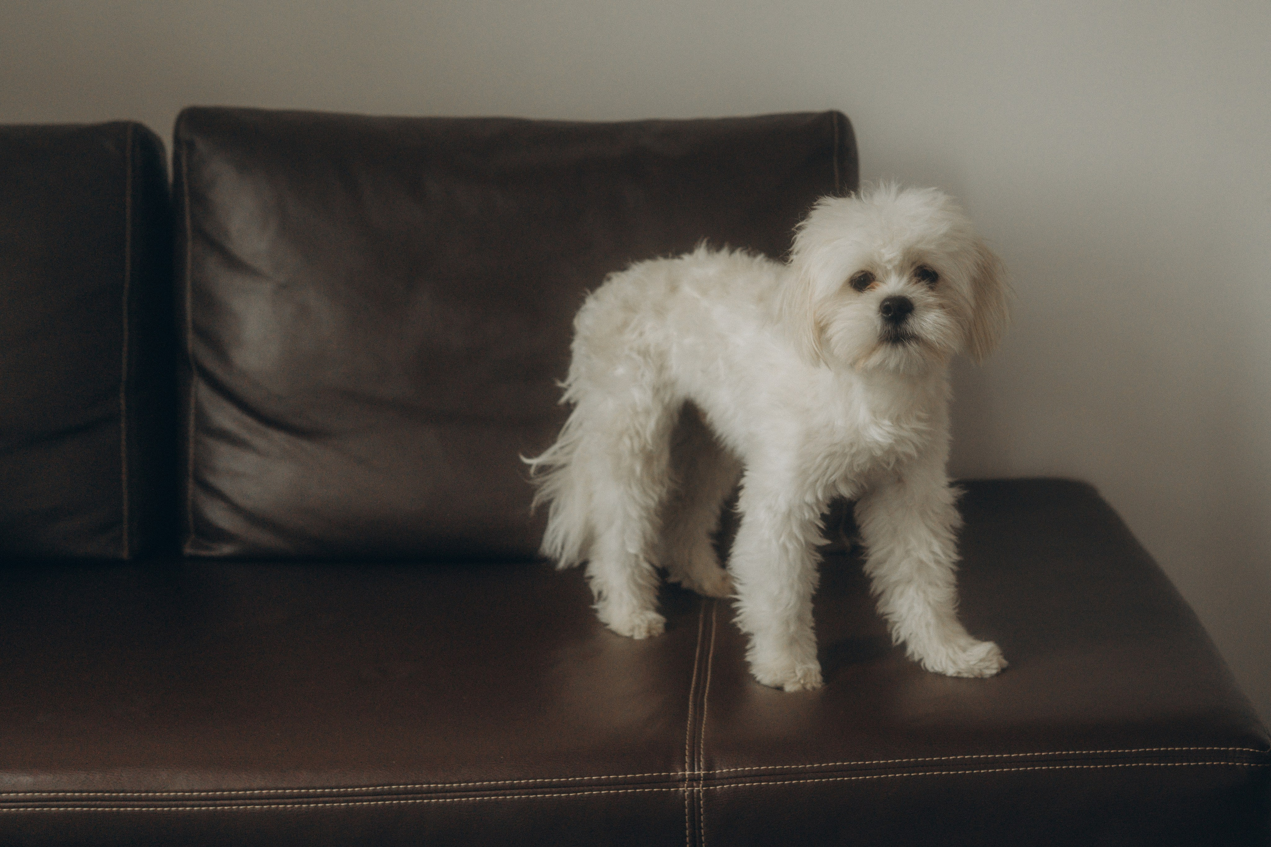 29. Фотограф Батуми | Ксения Кинасова