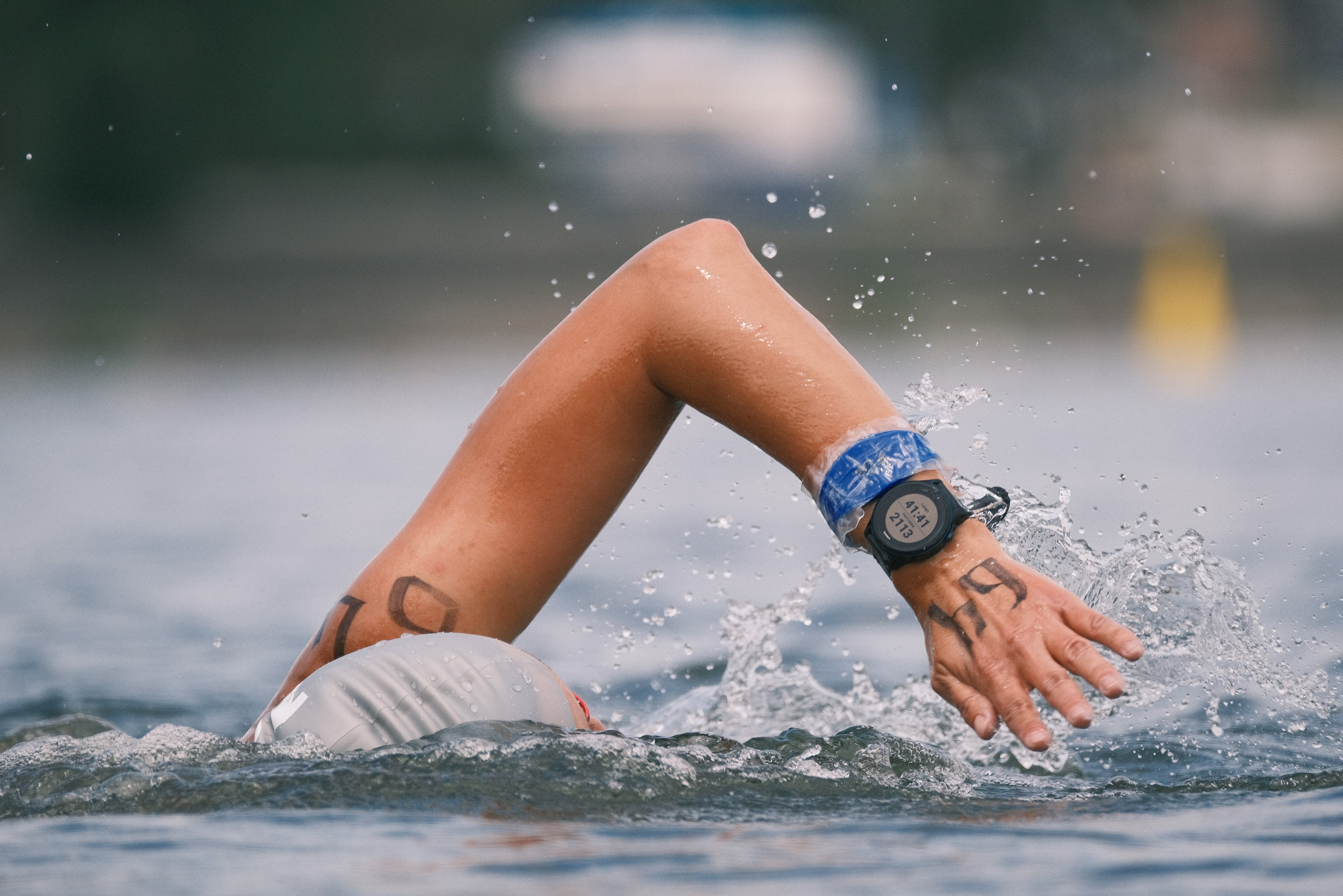 Плавание. Спортивный фотограф в Ростове-на-Дону Сергей Реусин