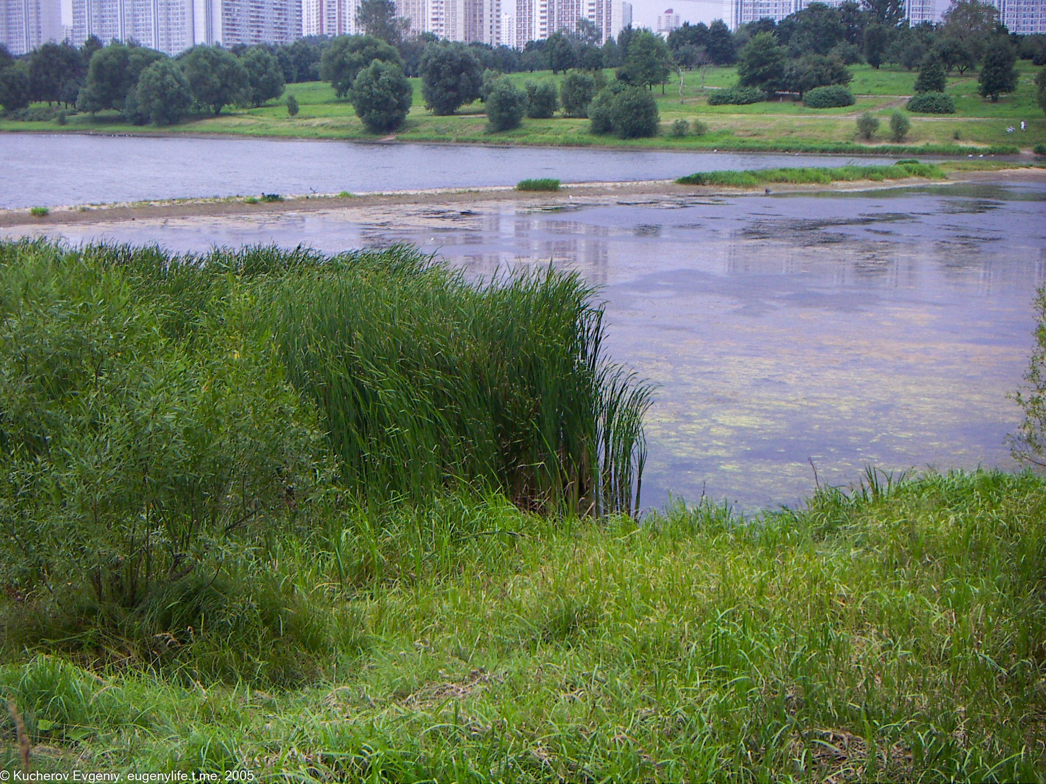 Август 2005. Царицыно. Кучеров Евгений. Фотограф